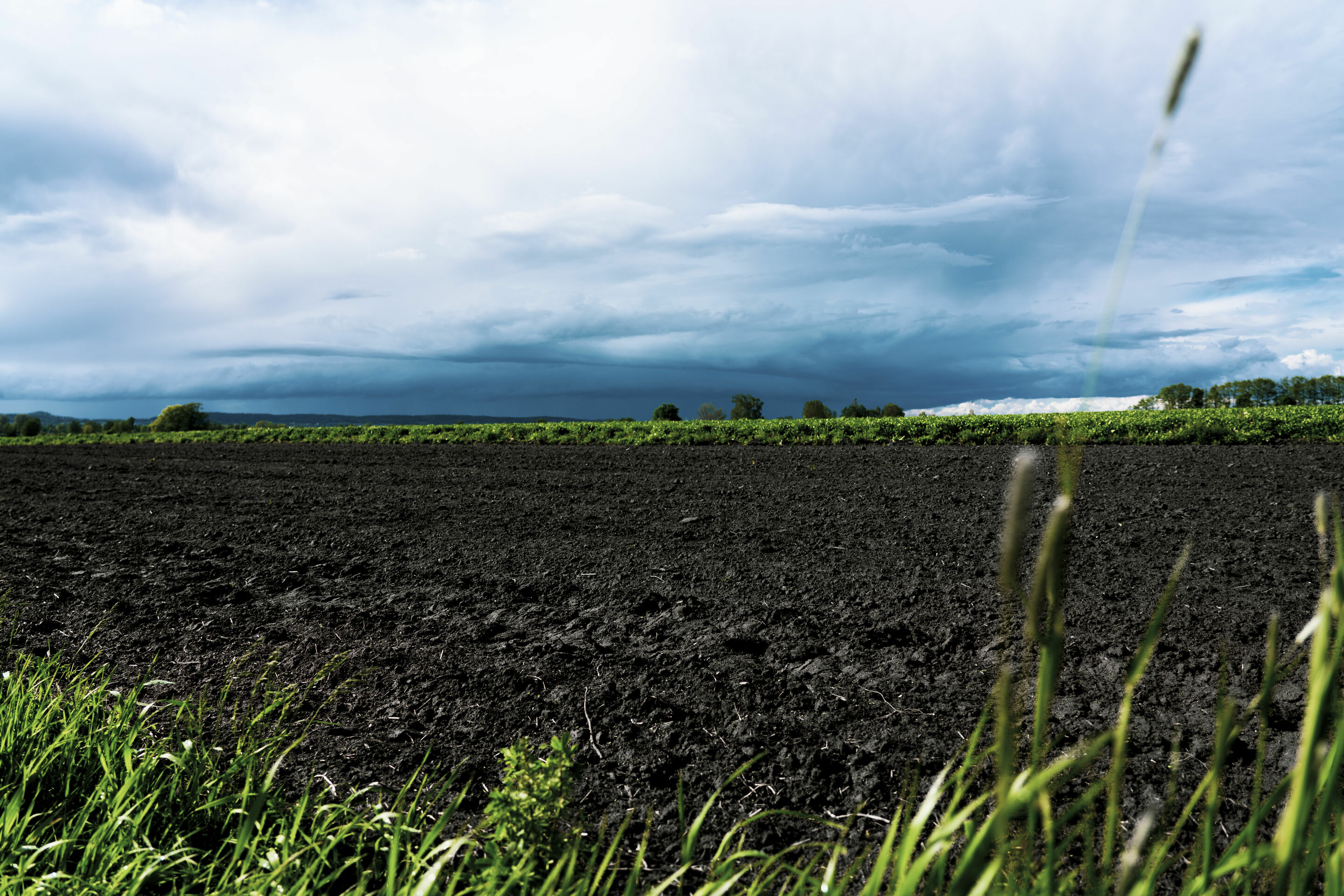 Moore als CO2-Langzeitspeicher: Start der regionalen Machbarkeitsstudie „CO2-Regio“ - Audi Stiftung für Umwelt: Audi Stiftung für Umwelt und der Verein „Energie Effizient Einsetzen“ untersuchen die Auswirkungen von Moorschutz, Humusaufbau und Aufforstung...