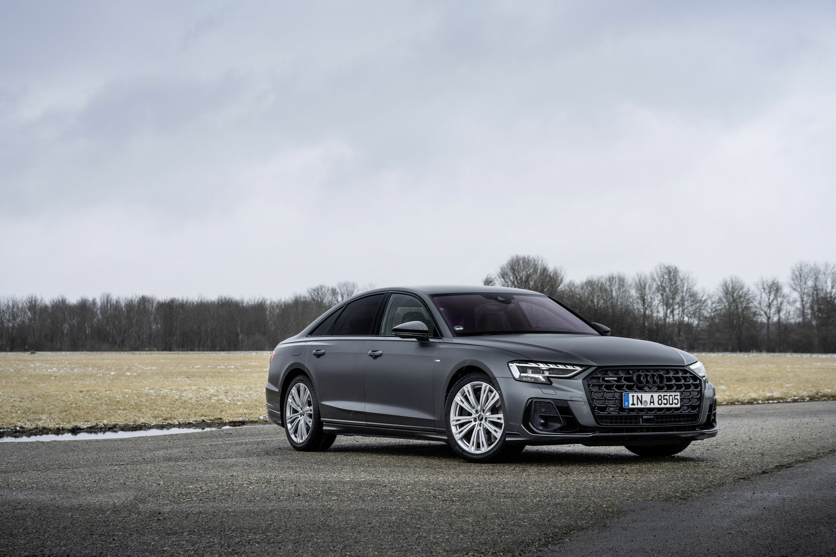Audi A8 - Standaufnahme,
Farbe: Daytonagrau Matteffekt