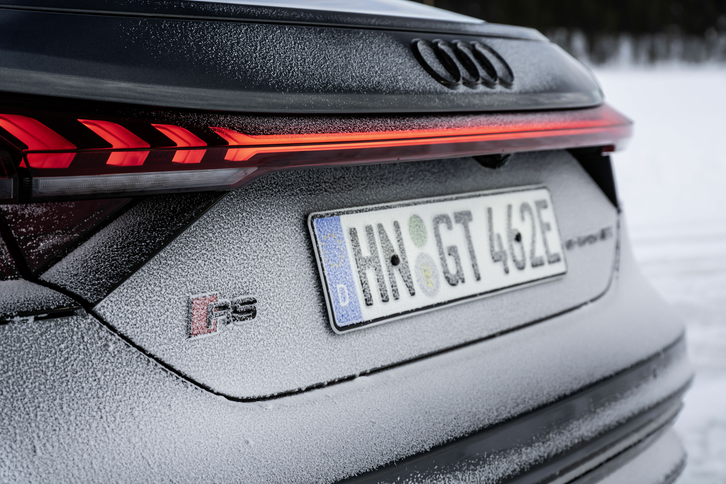 Audi RS e-tron GT - Detail; 
Farbe: Daytonagrau