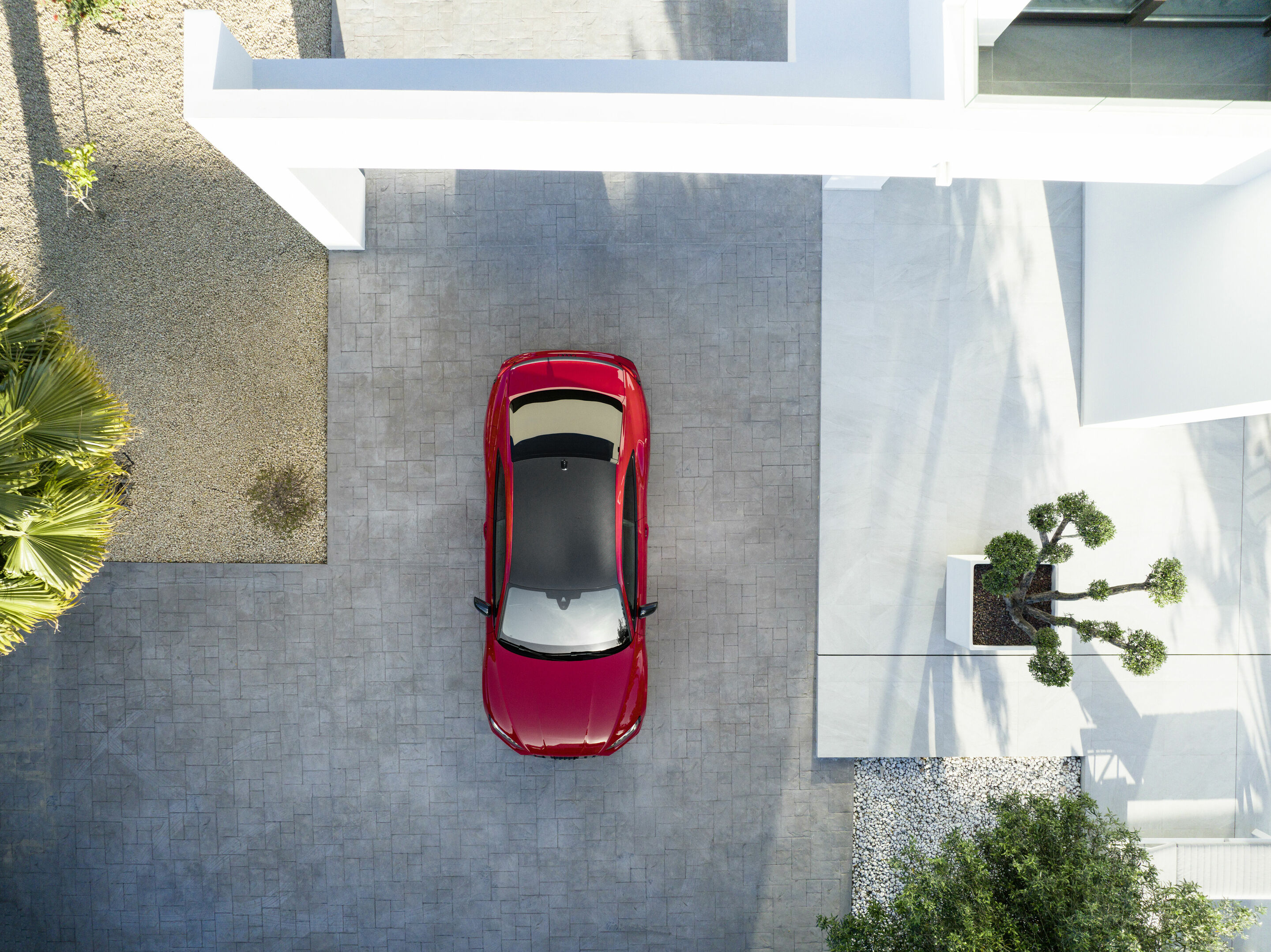 Audi RS 5 Coupé with competition plus package - Static photo, Colour: Tango red