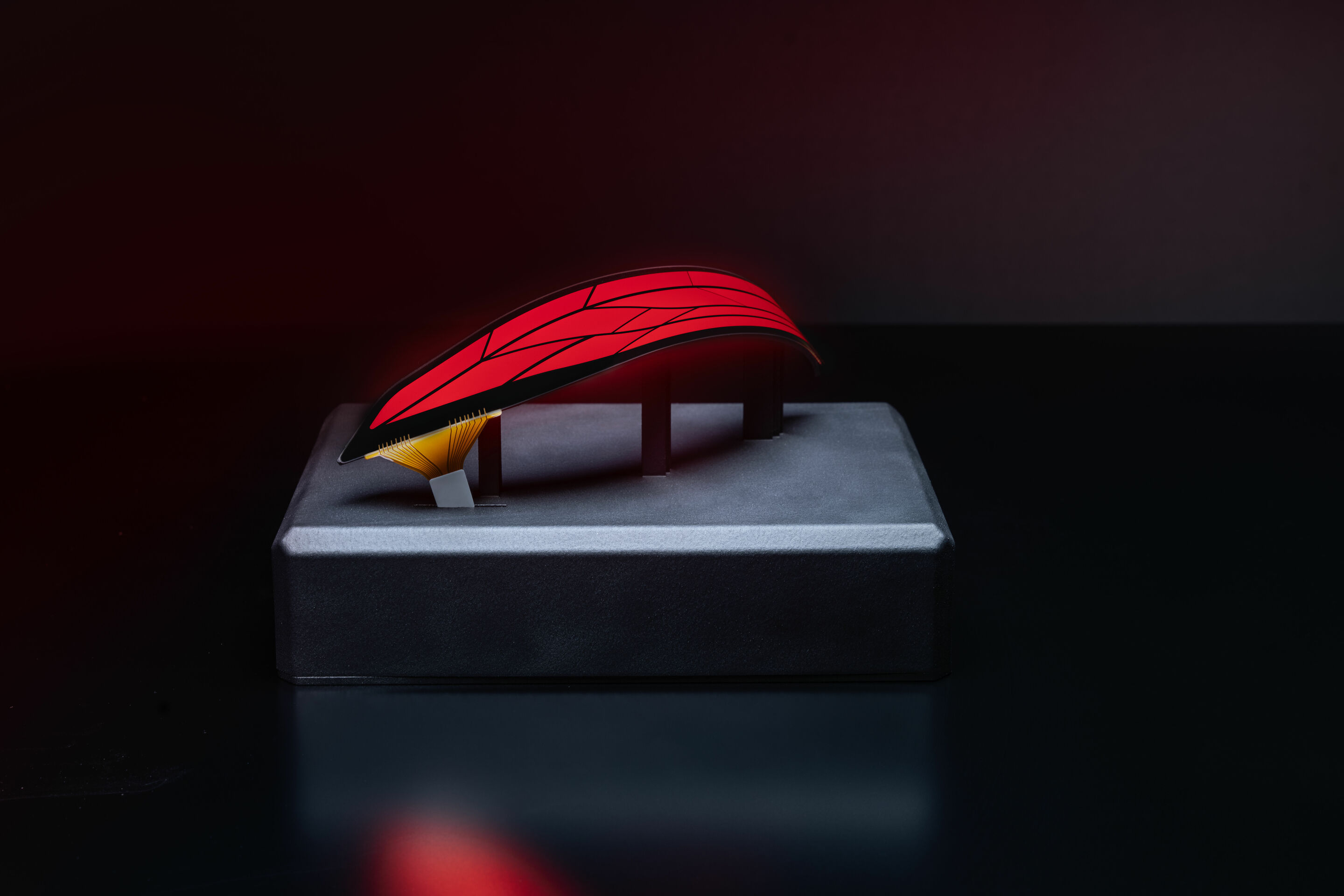 TechDay Digital Light - Future outlook for flexible digital OLED