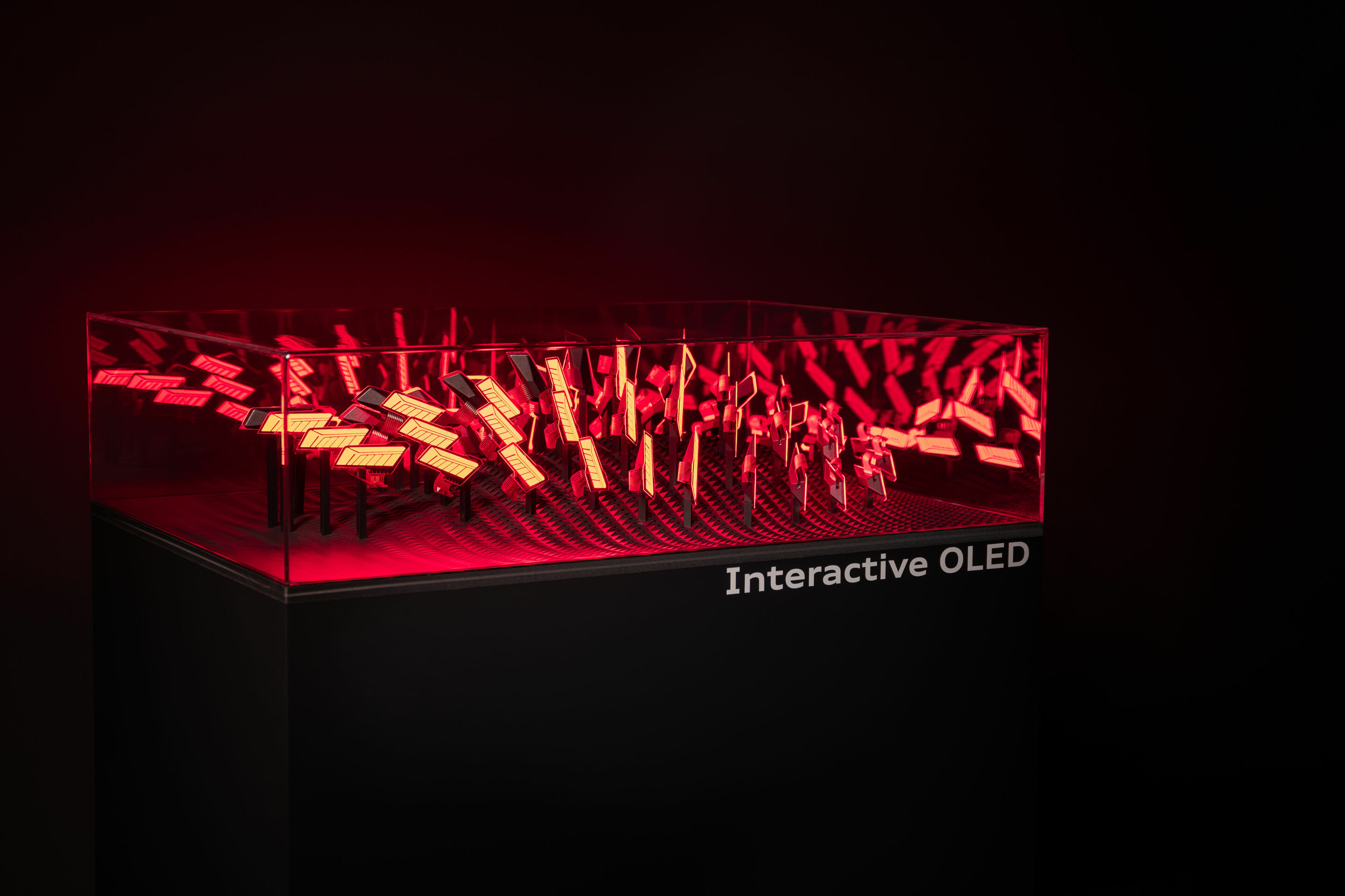 TechDay Digital Light - Weiterentwicklung digitale OLED