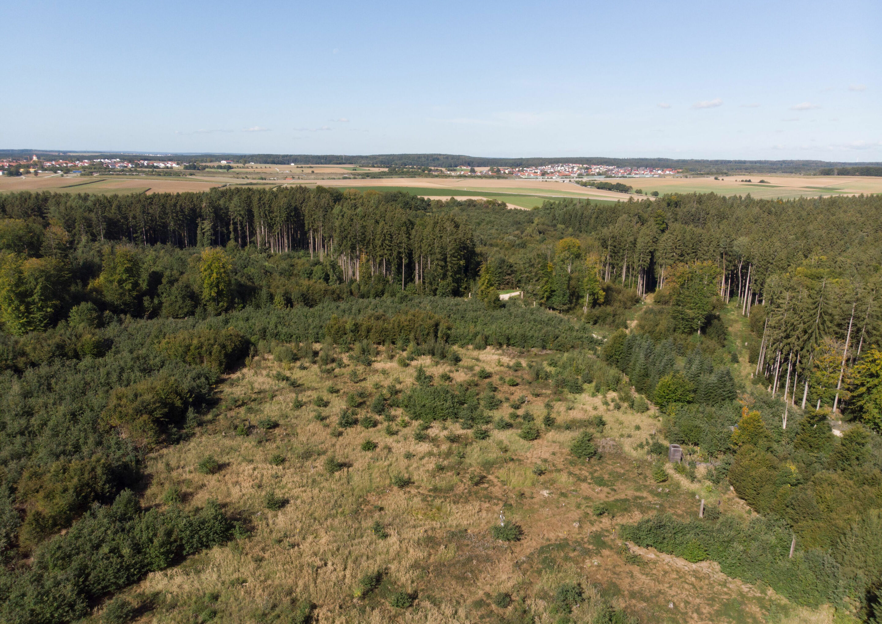 International Oak Forest Project: Kösching research area close to the Audi site in Ingolstadt - The international research project on oak forests is one of the first projects funded by the Audi Environmental Foundation. Among other things, it is dedicated...
