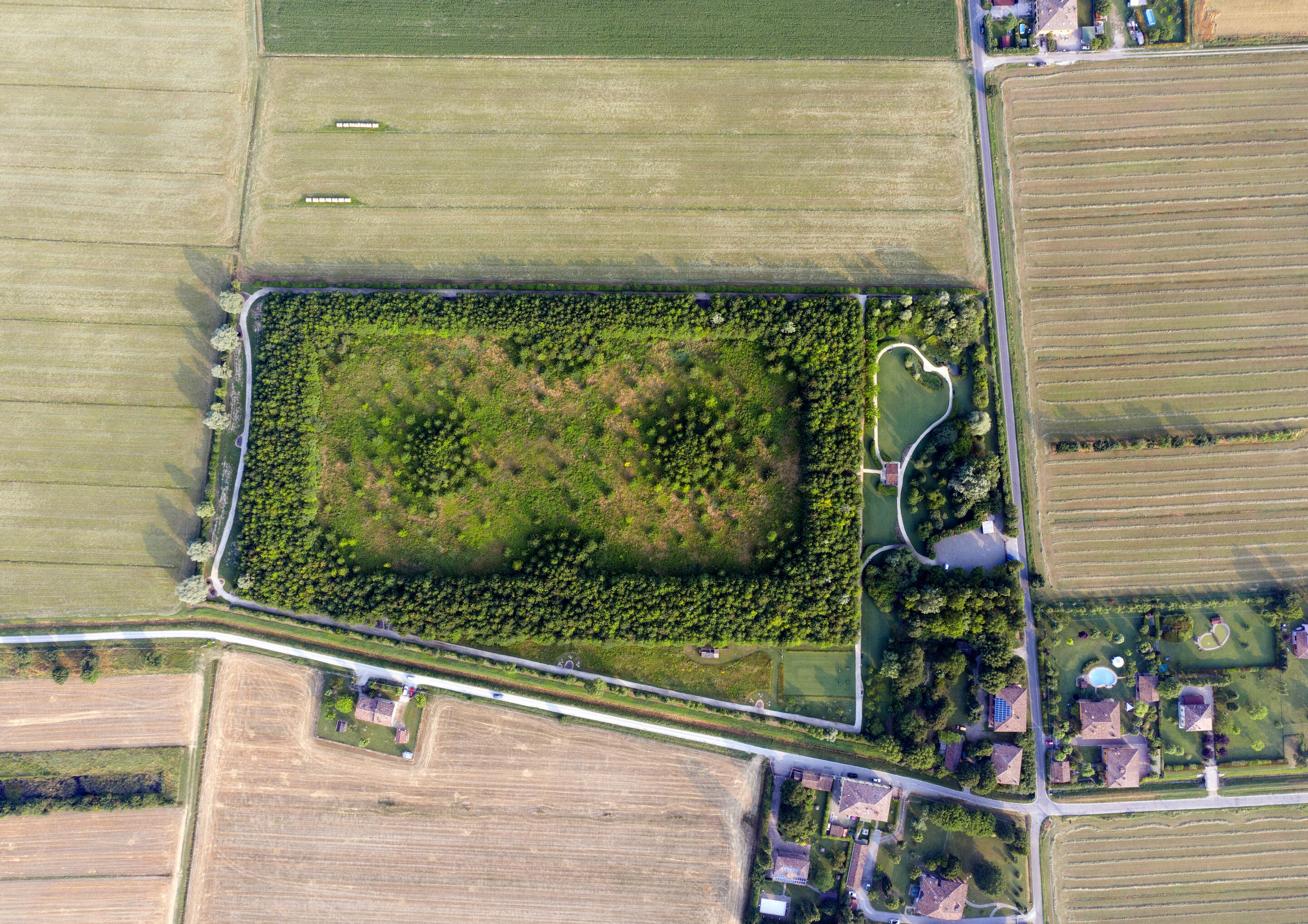 International Oak Forest Project: research area close to the Lamborghini headquarters in Sant'Agata Bolognese - International Oak Forest Project: research area close to the Lamborghini headquarters in Sant'Agata Bolognese.