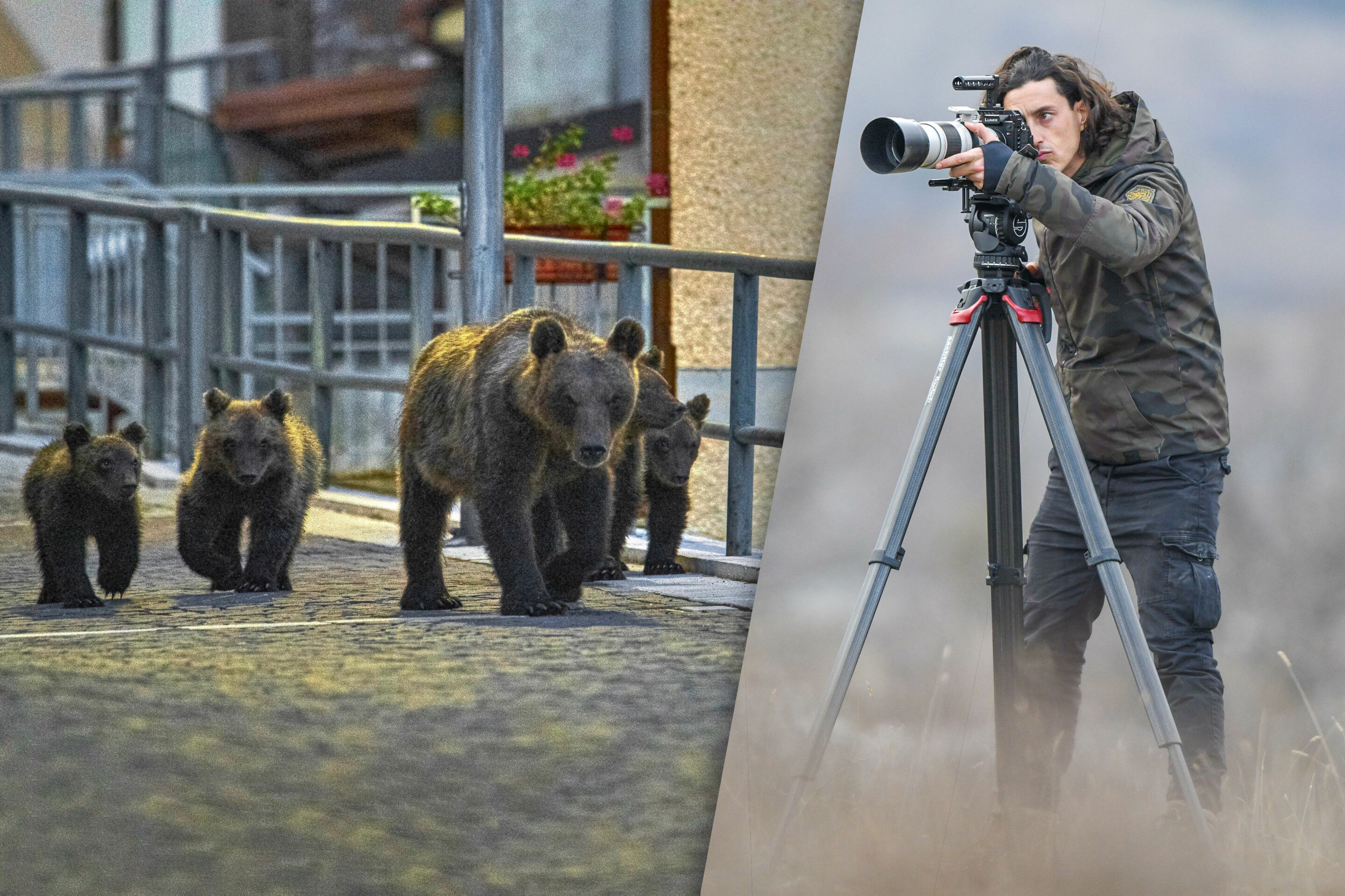 Audi-Umweltstiftung fördert NaturVision Filmfestival: Siegerfilm „My Neighbour is a Bear“ - Gewinner des Kurzfilmpreises 2022: Regisseur Mattia Cialoni