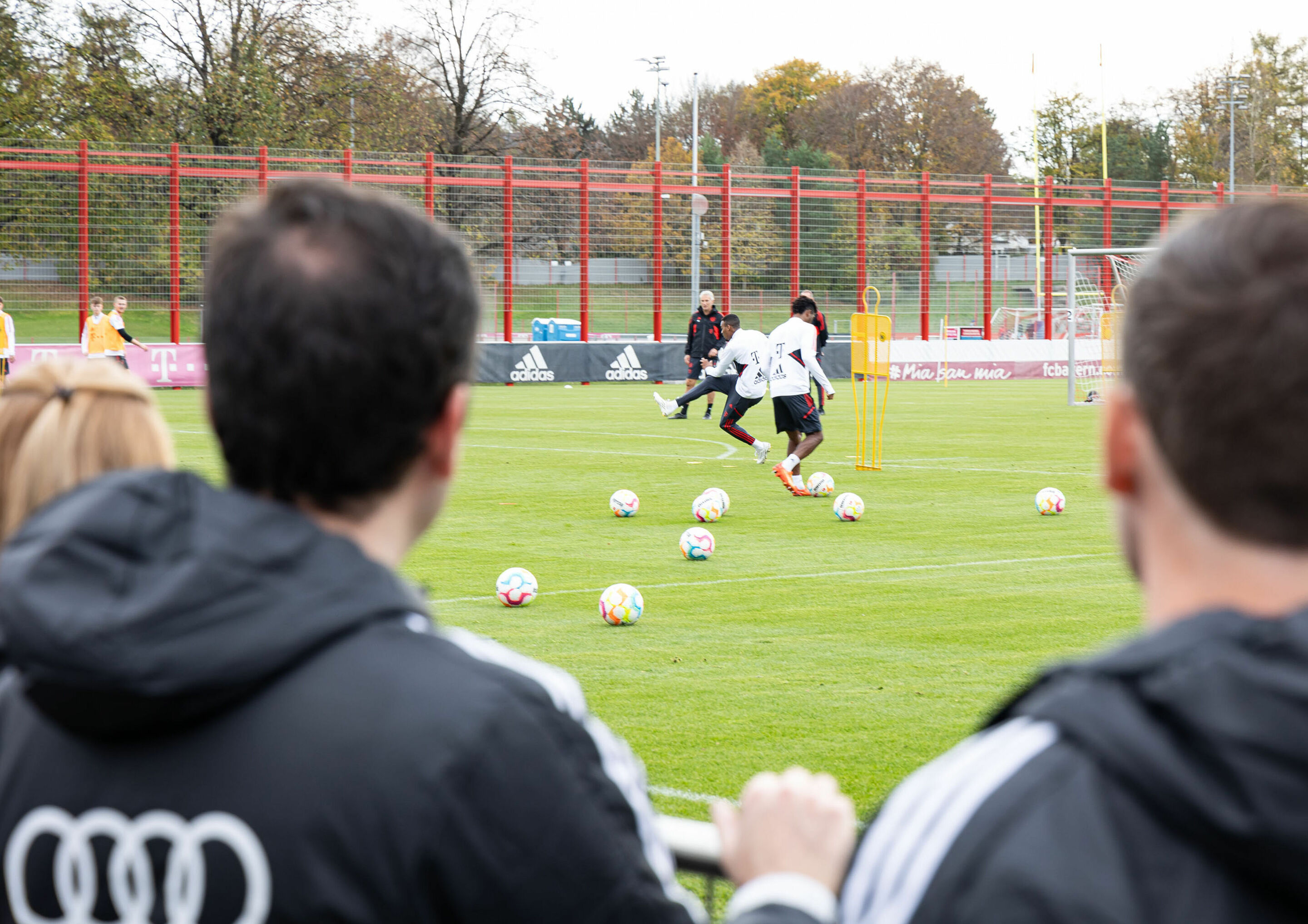 Audi vehicle handover - During the vehicle handover 2022, Audi employees visited FC Bayern München’s training grounds.