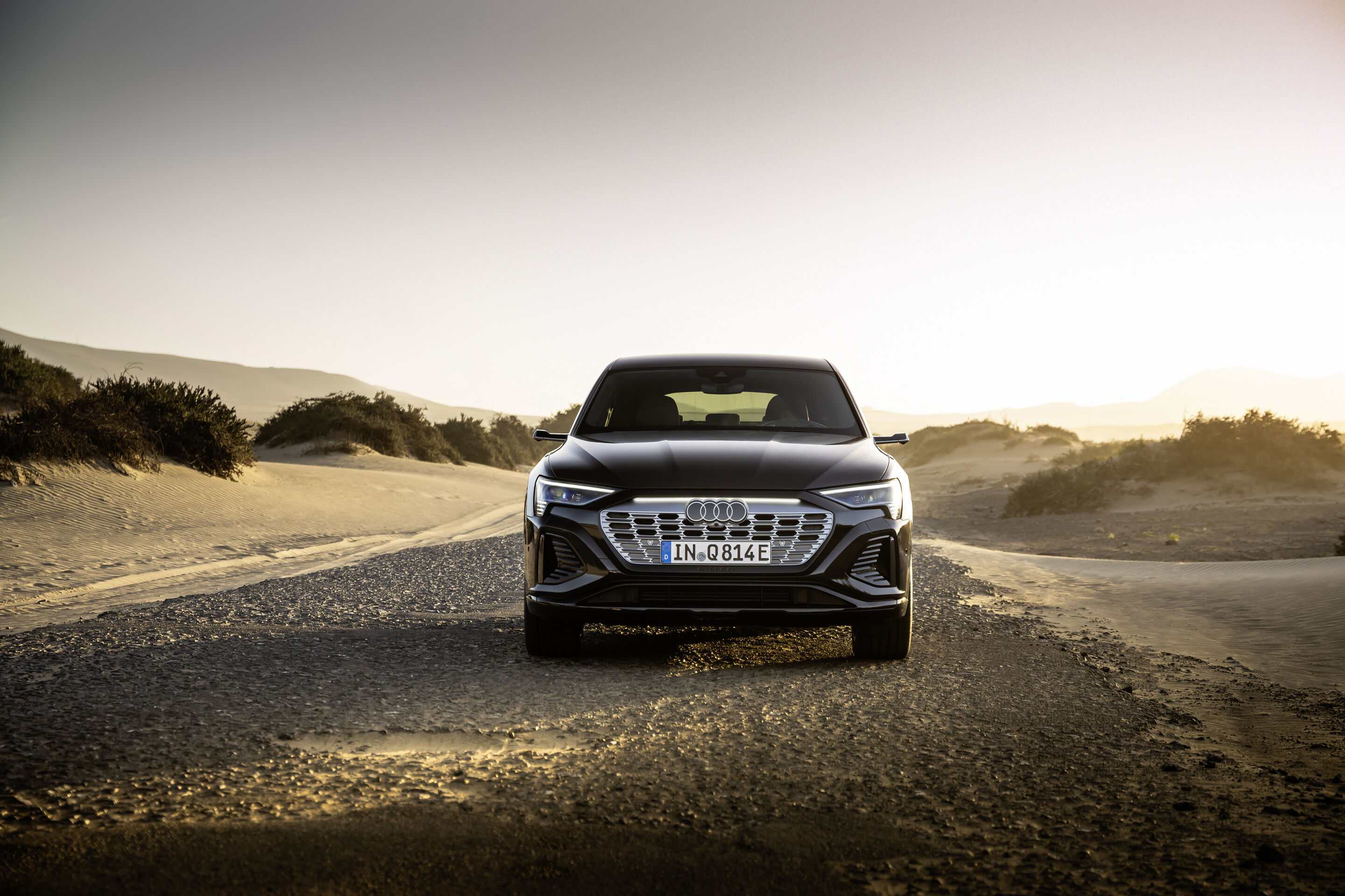 Audi Q8 Sportback 55 e-tron quattro (until 2025) - Static photo, Colour: Madeira Brown metallic.