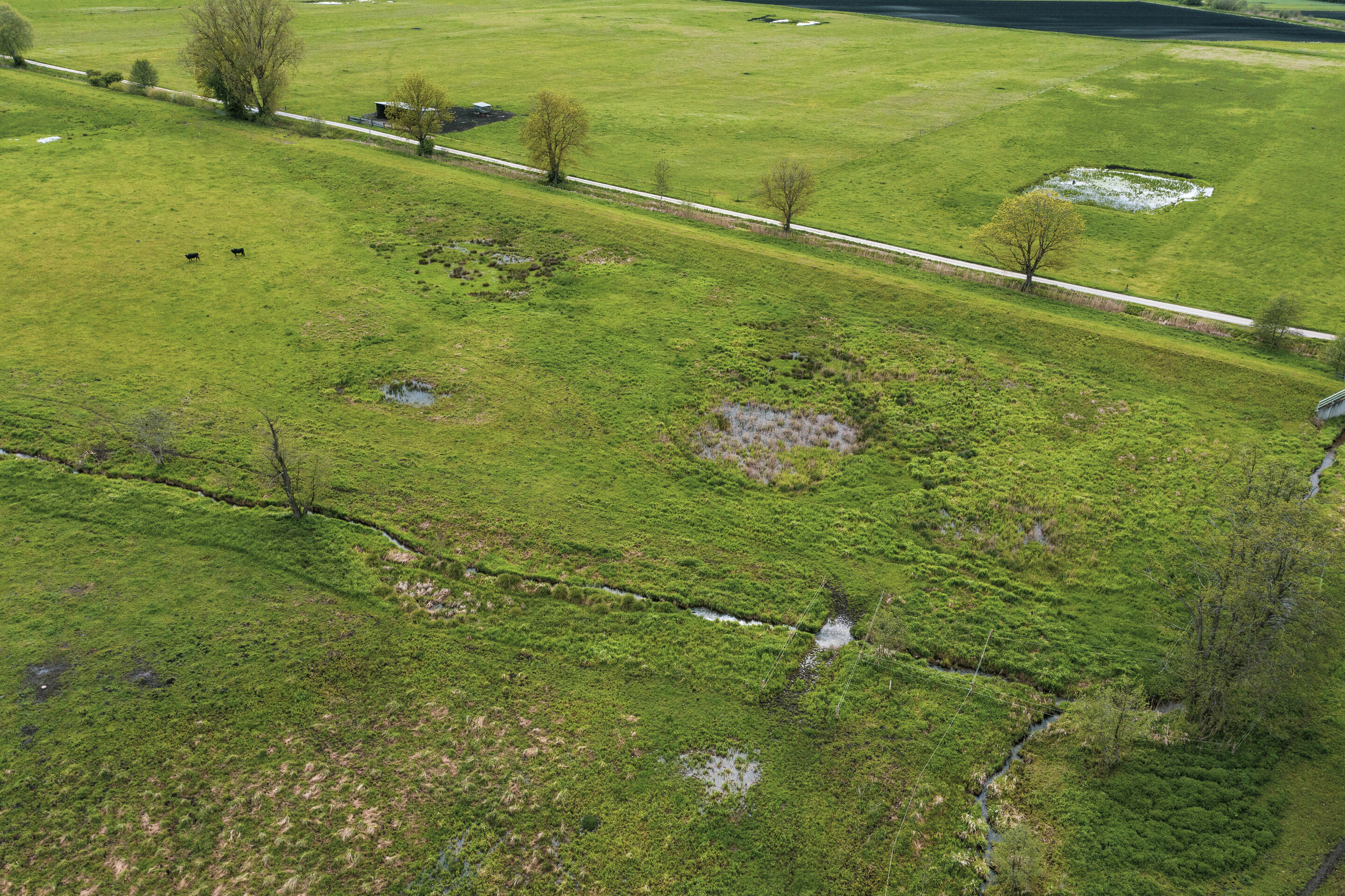 Peatland protection through climate certificates - The feasibility study CO2-regio, funded by the Audi Environmental Foundation, investigated how measures for rewetting in Bavaria’s largest fen, the Donaumoos, could be reconciled with the needs of local...
