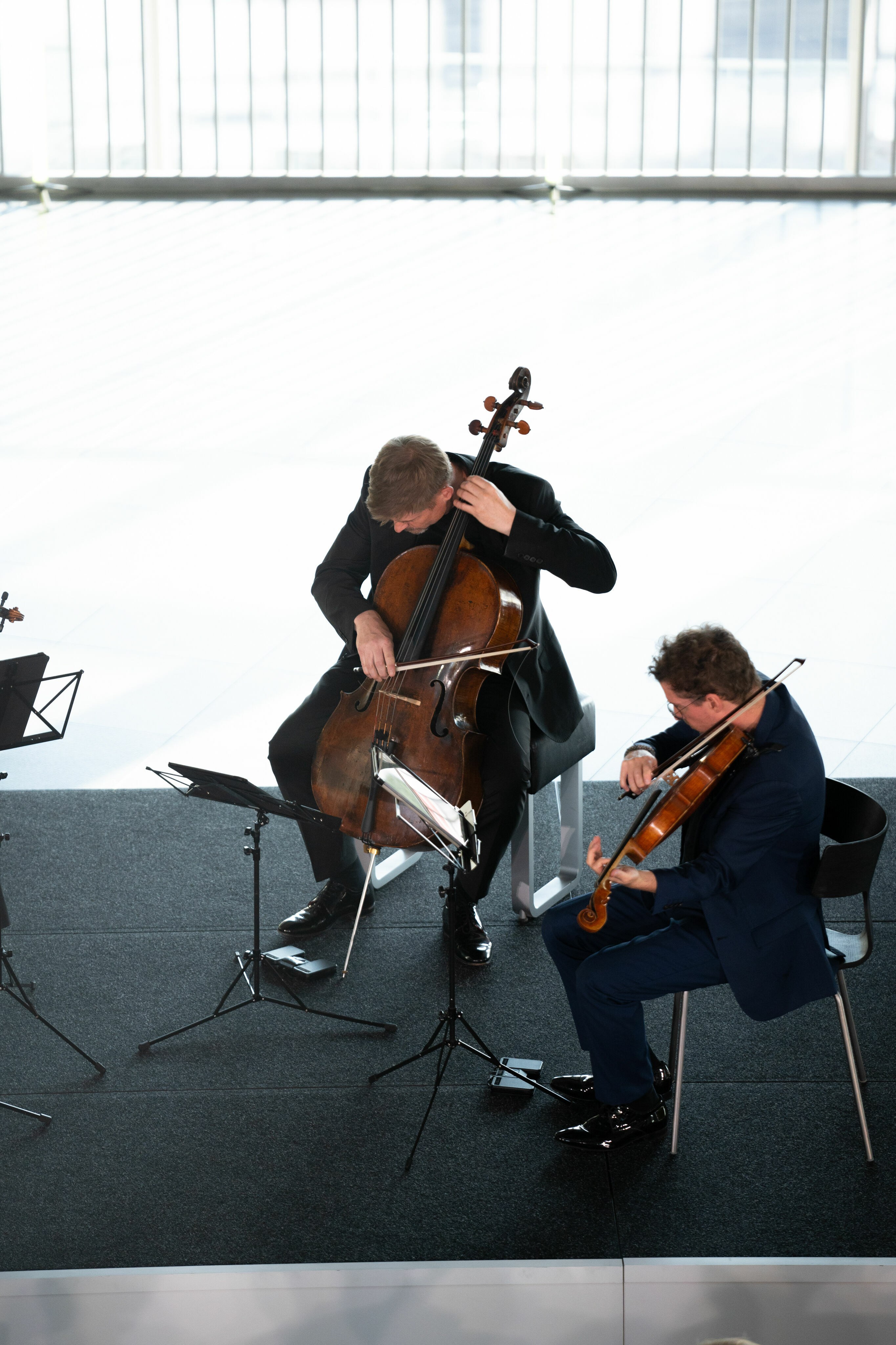 Audi Sommerkonzerte 2023 - Signum Quartett im museum mobile