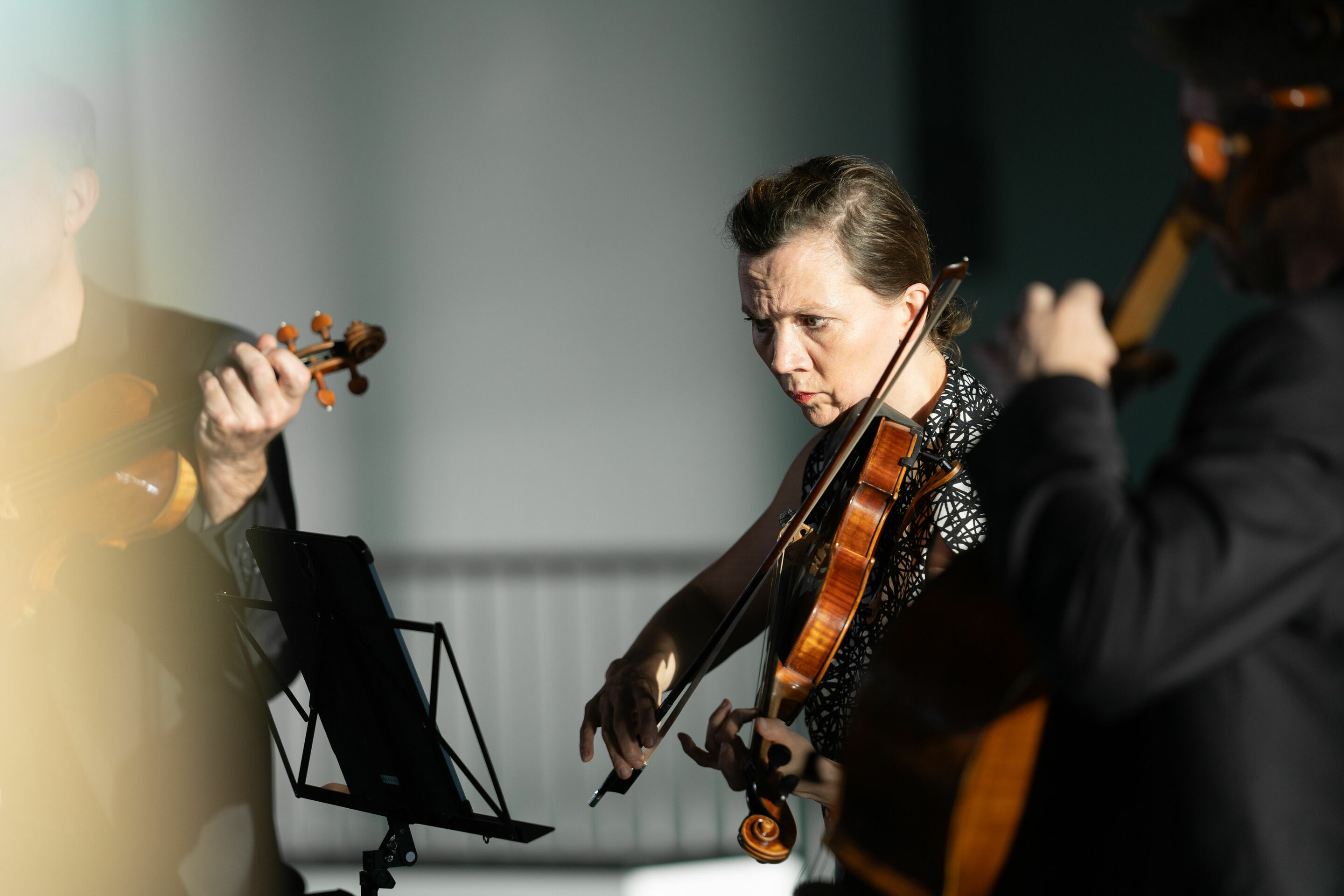 Audi Sommerkonzerte 2023 - Signum Quartet at museum mobile