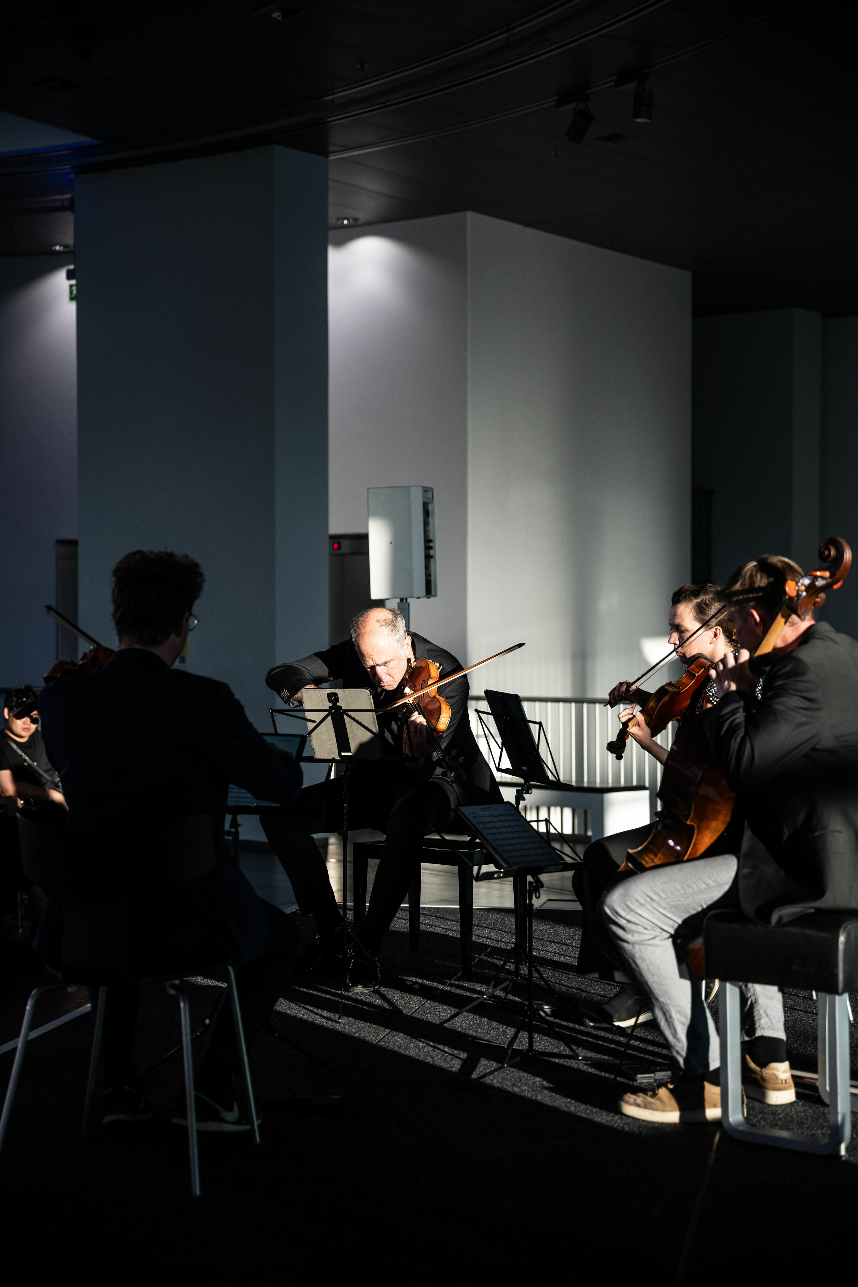 Audi Sommerkonzerte 2023 - Signum Quartet at museum mobile