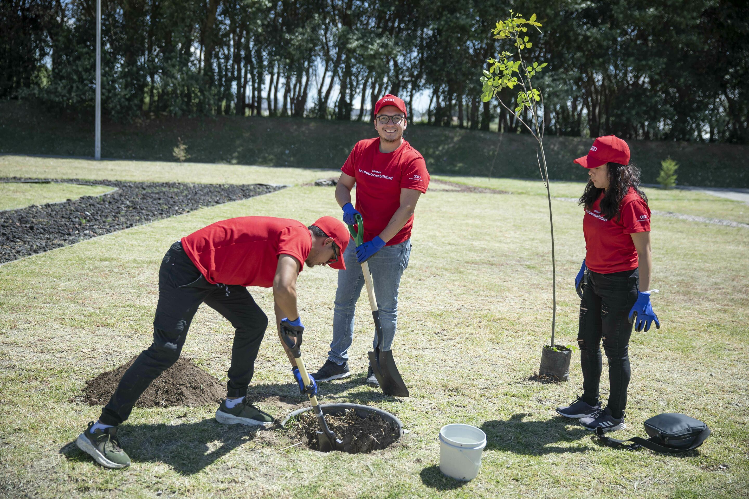 Audi Social Day - Audi employees planted a total of 210 native trees in a local park to enrich local biodiversity in the community of Ciudad Modelo.