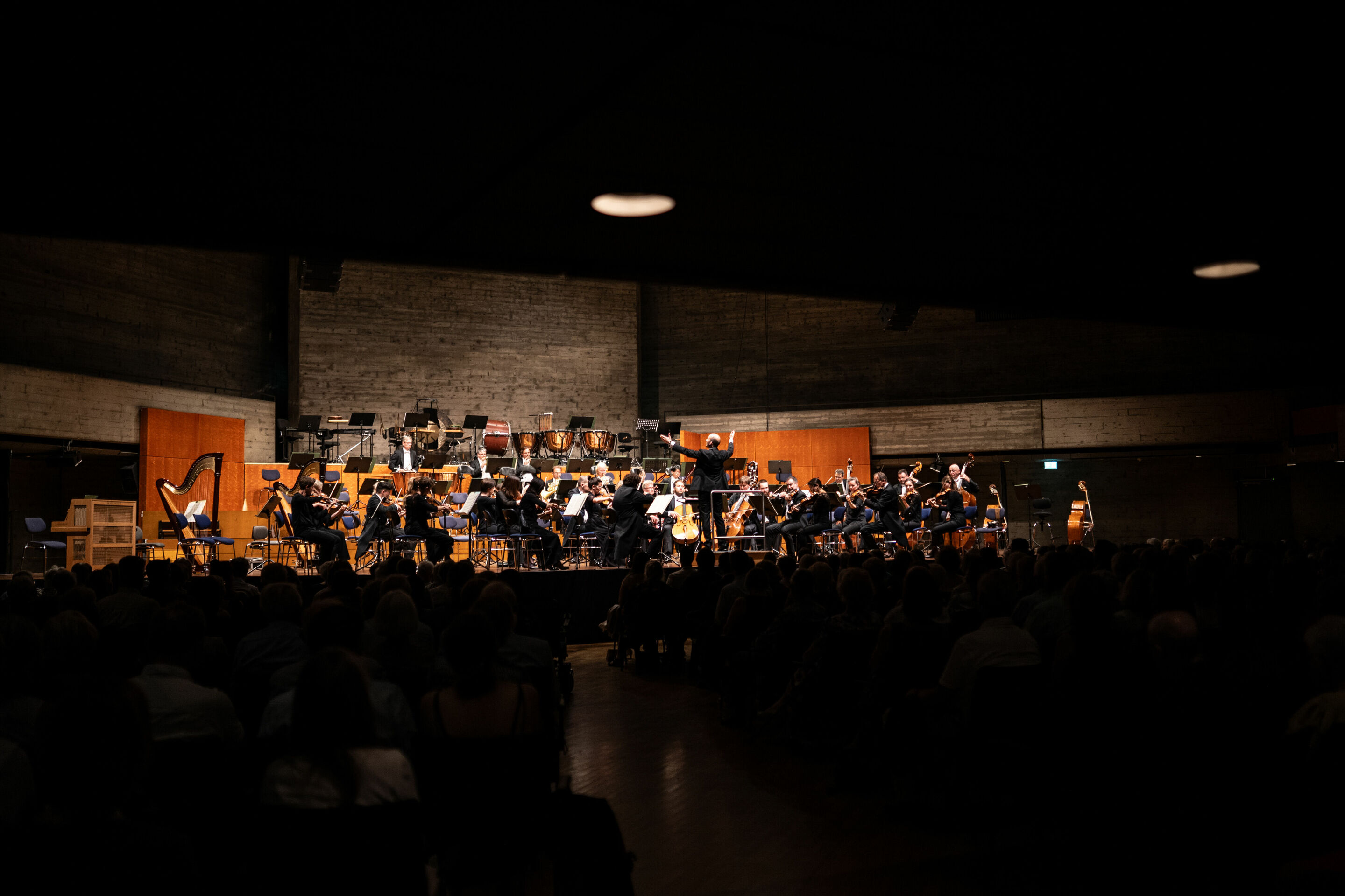 Audi Sommerkonzerte 2023 - Bamberger Symphoniker und Thomas Hampson
