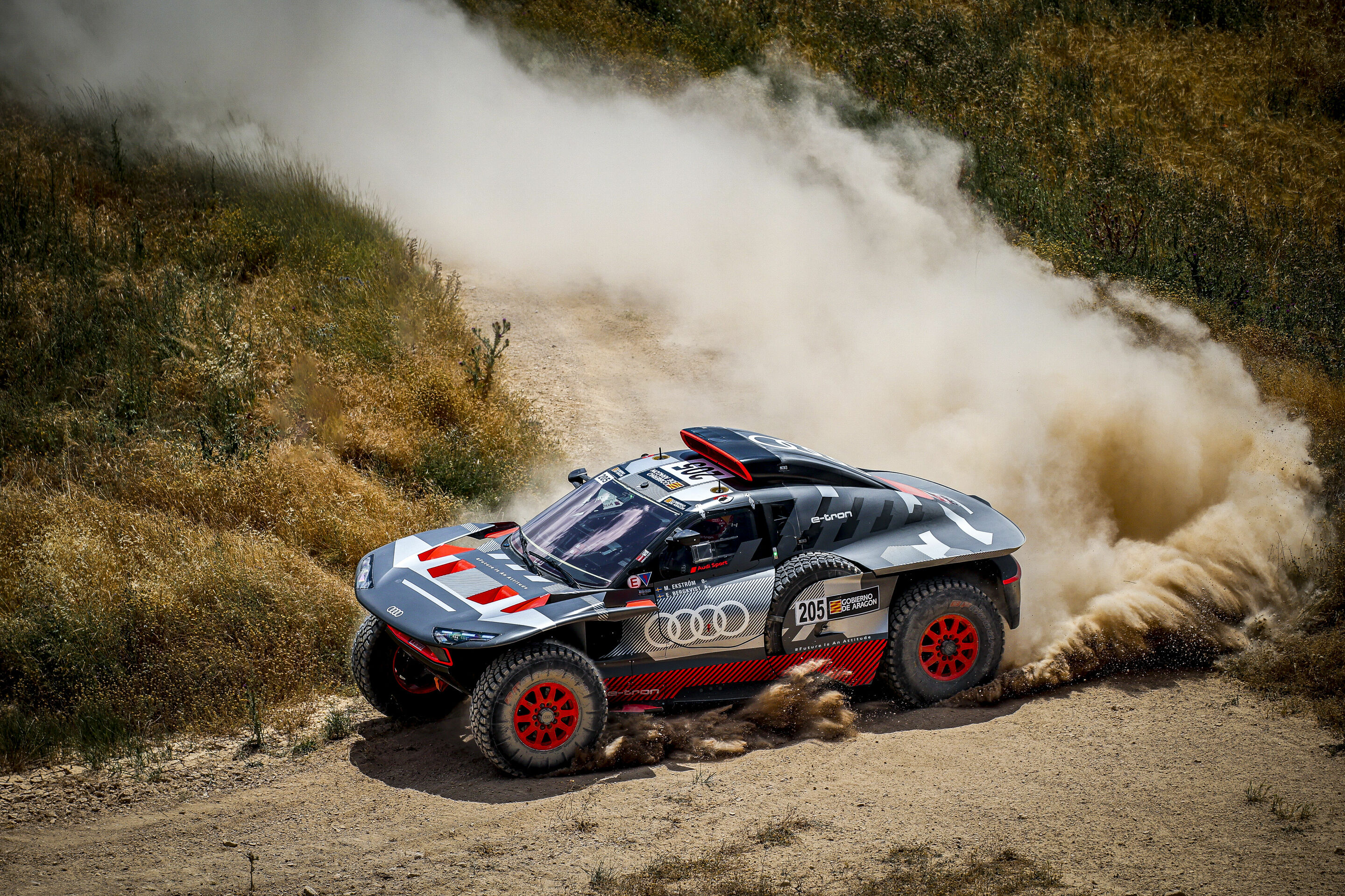 Baja España Aragón 2023 - Audi RS Q e-tron #205 (Team Audi Sport), Mattias Ekström/Emil Bergkvist
