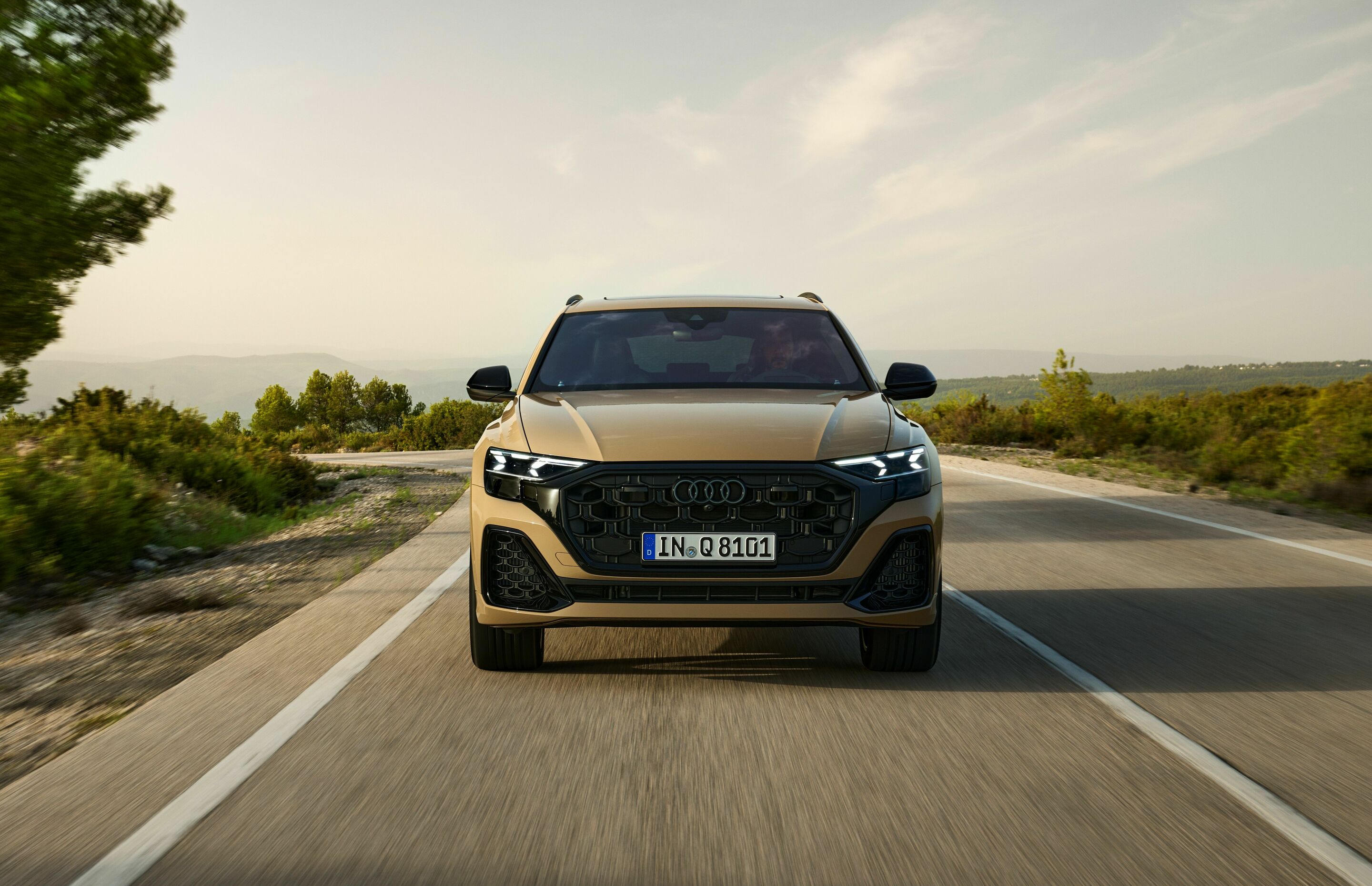 Audi Q8 - Dynamic photo,
Colour: Sakhir gold metallic