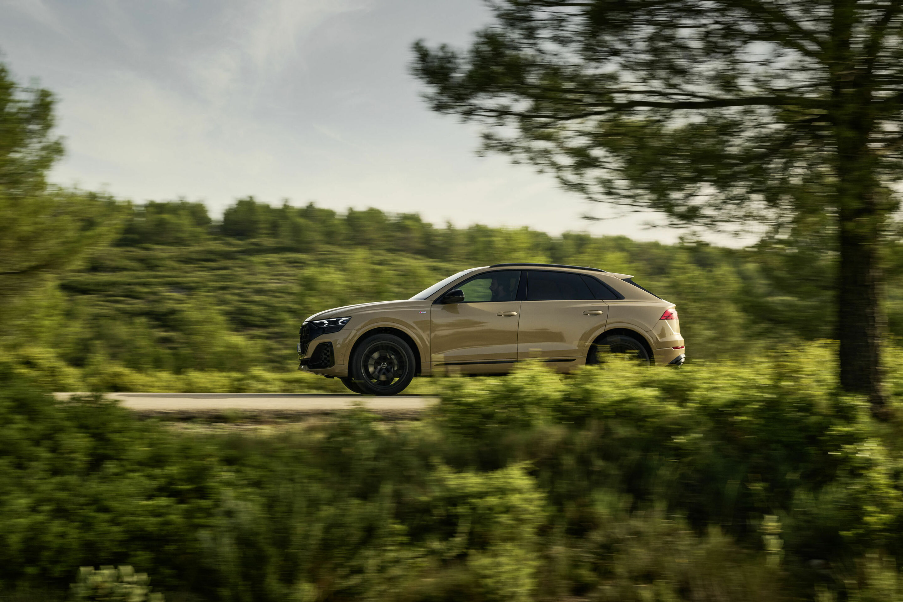 Audi Q8 - Dynamic photo,
Colour: Sakhir gold metallic