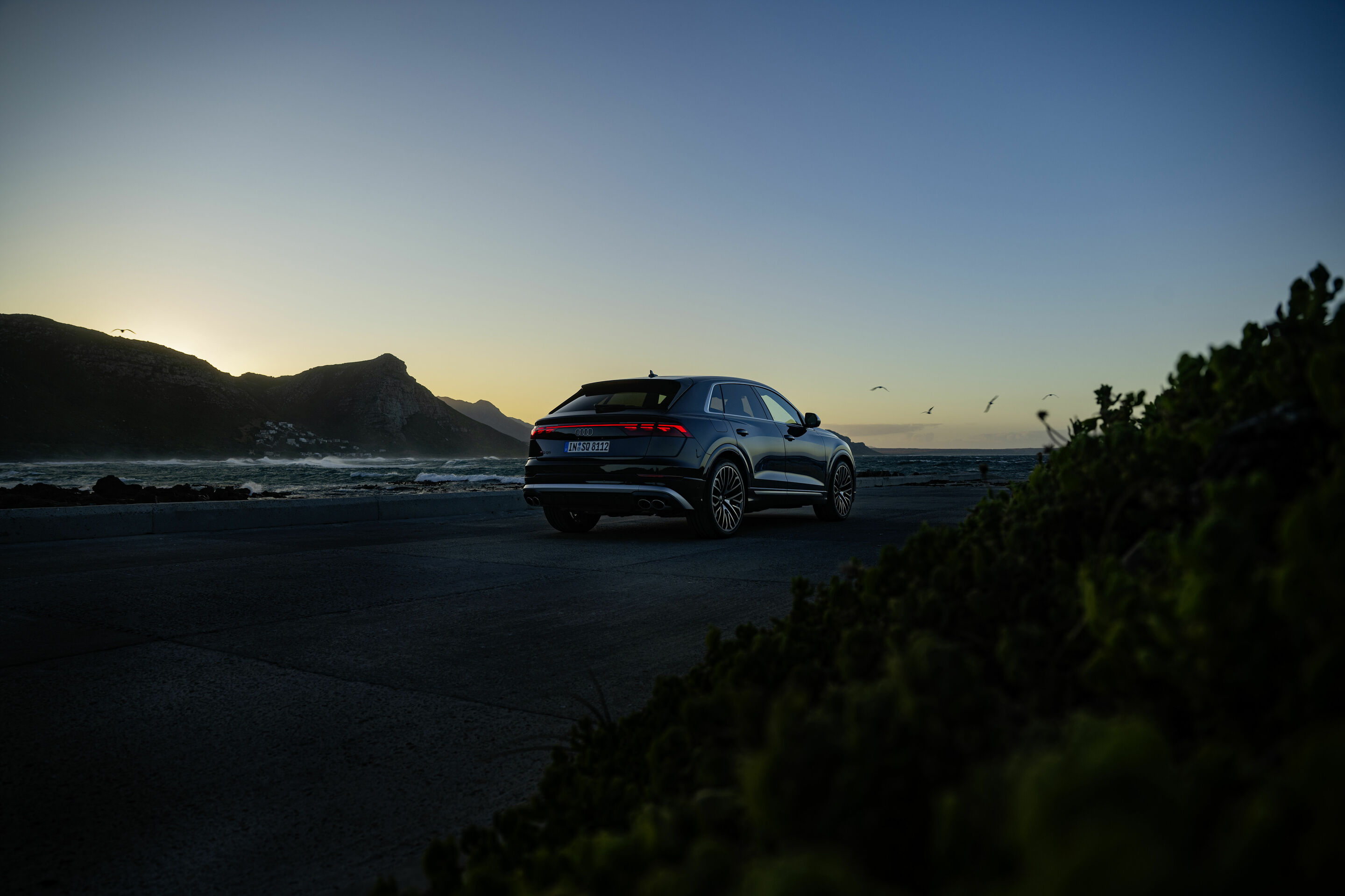 Audi SQ8 TFSI - Static photo,
Colour: Waitomo blue