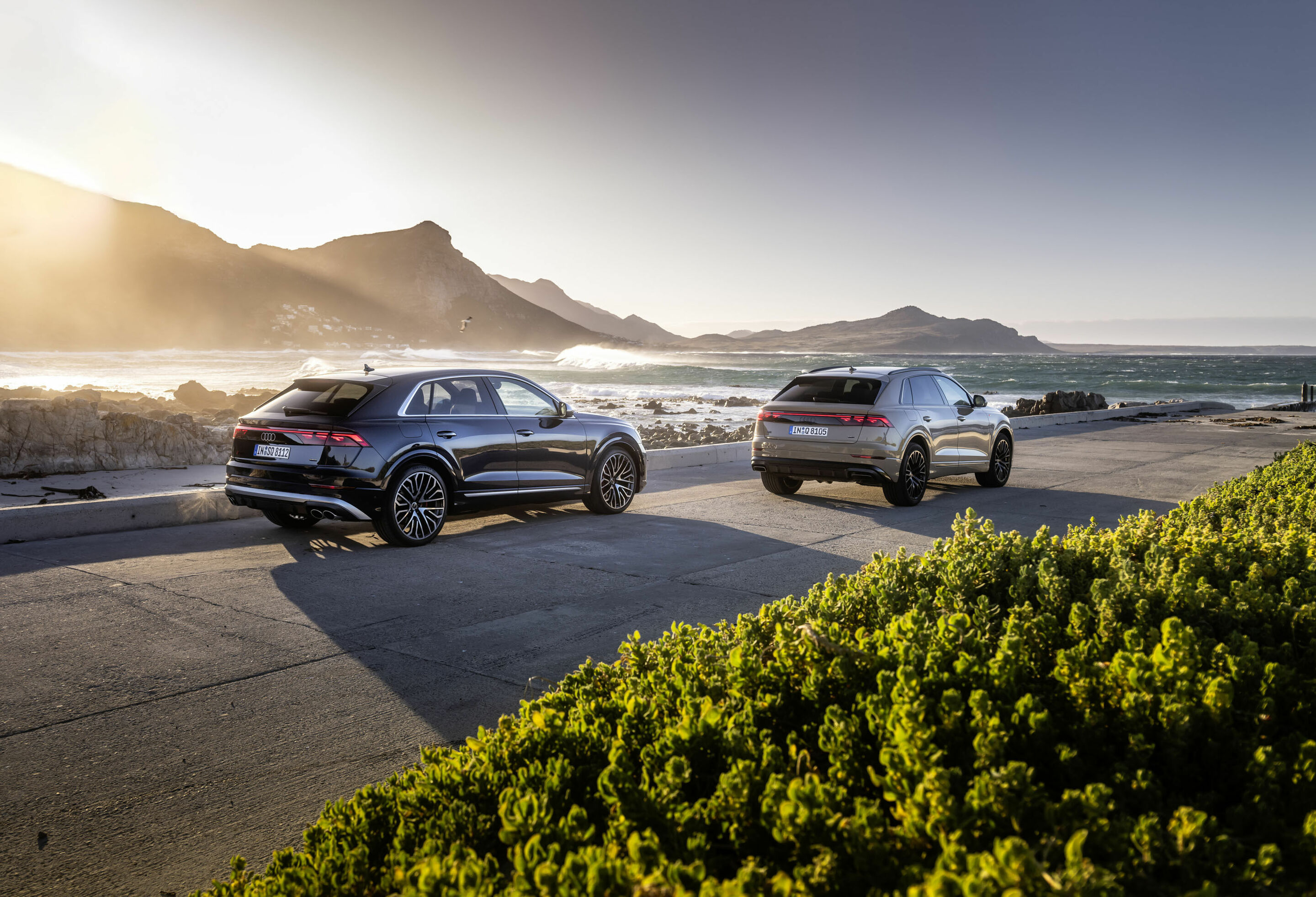 Audi Q8 / Audi SQ8 TFSI - Standaufnahme,
Audi SQ8 TFSI, Farbe: Metallic; Waitomoblau
Audi Q8, Farbe: Sakhirgold,