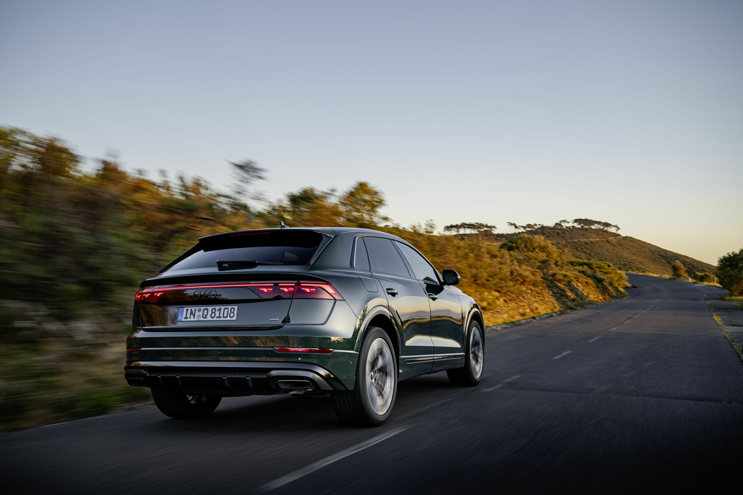 Audi Q8 - Dynamic photo,
Audi exclusive paint finish (Goodwoodgreen pearl effect)