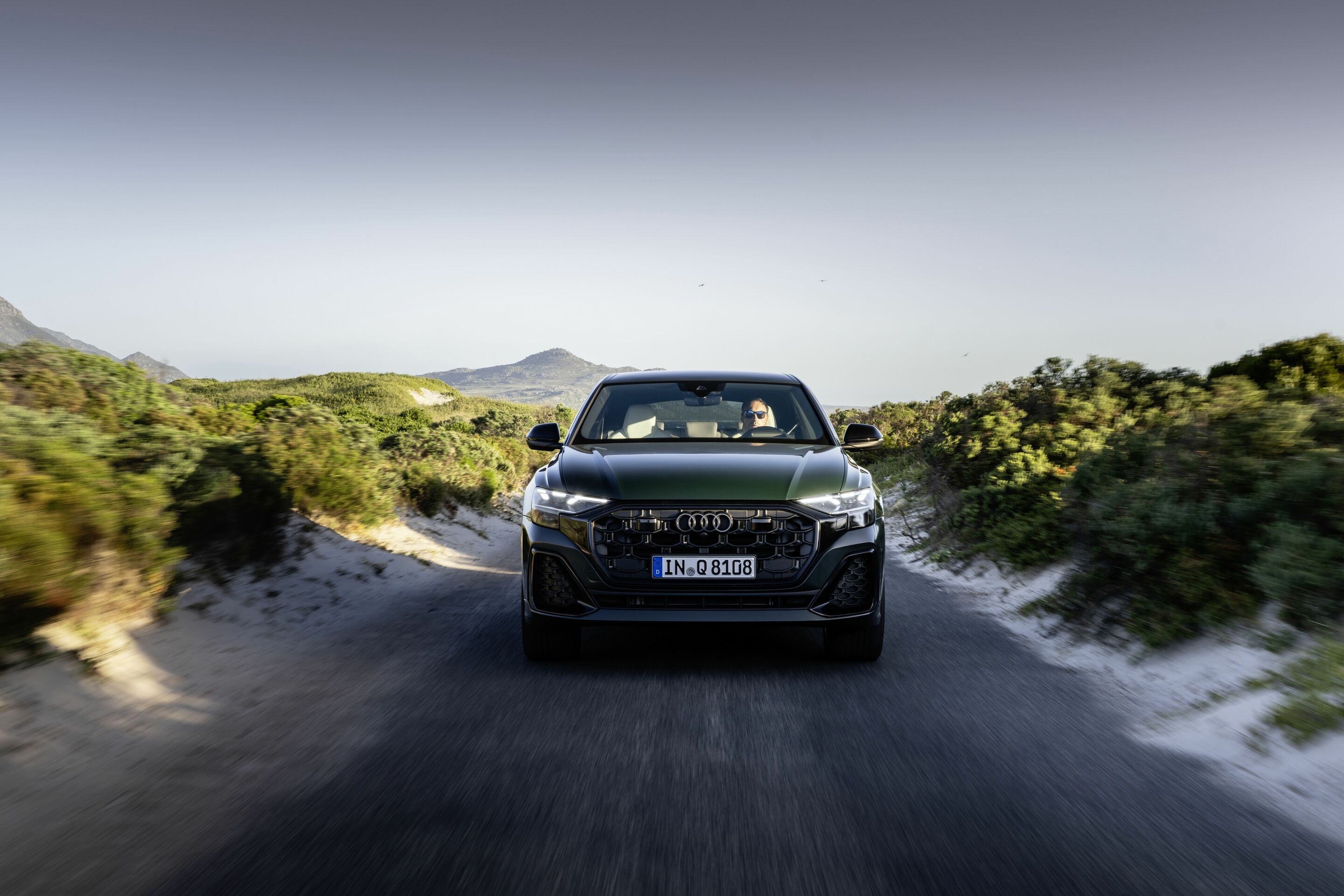 Audi Q8 - Dynamic photo,
Audi exclusive paint finish (Goodwoodgreen pearl effect)