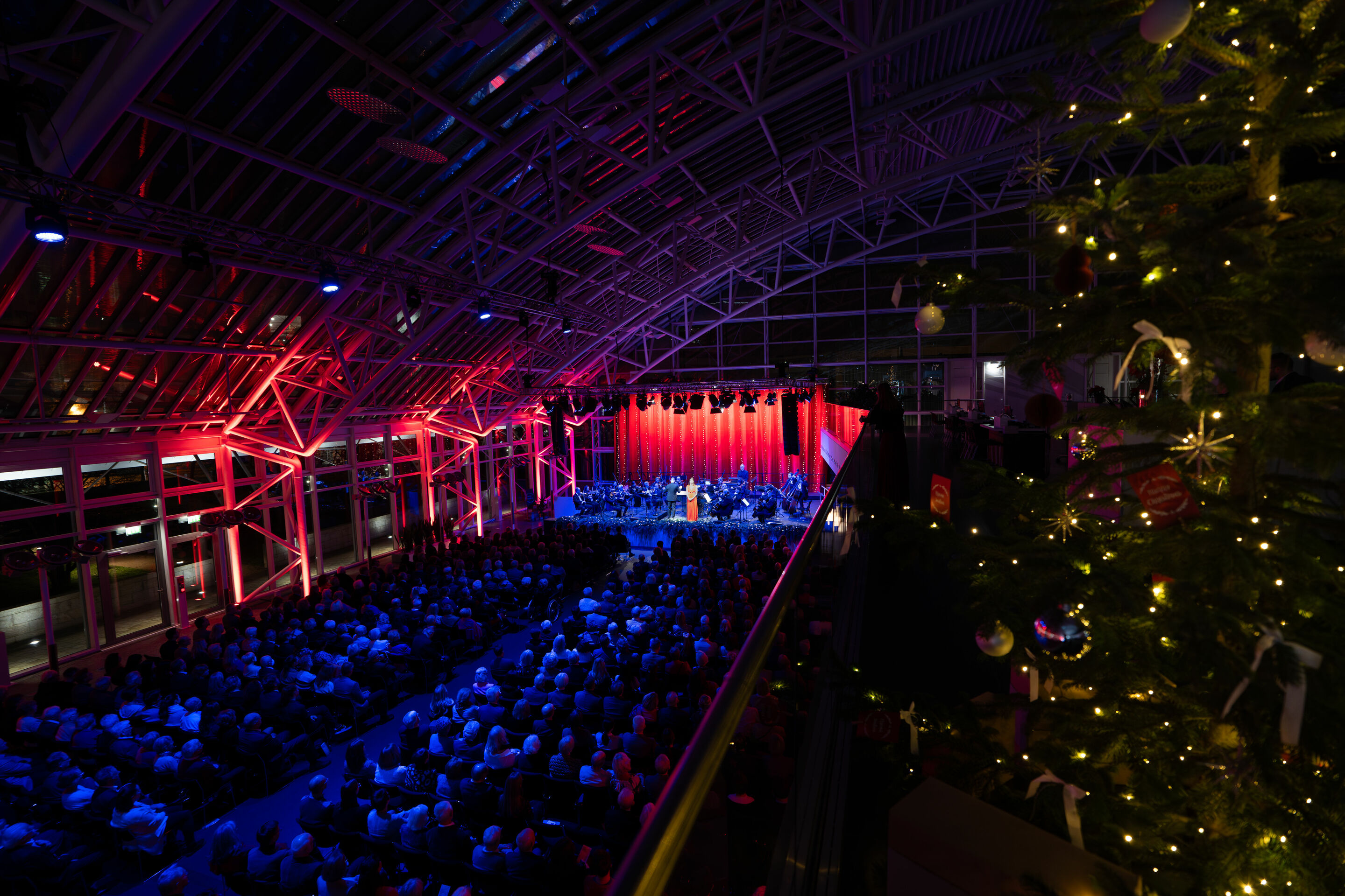 Audi Weihnachtskonzert am 15.12.2023 - Theresa Pilsl, Georgisches Kammerorchester Ingolstadt