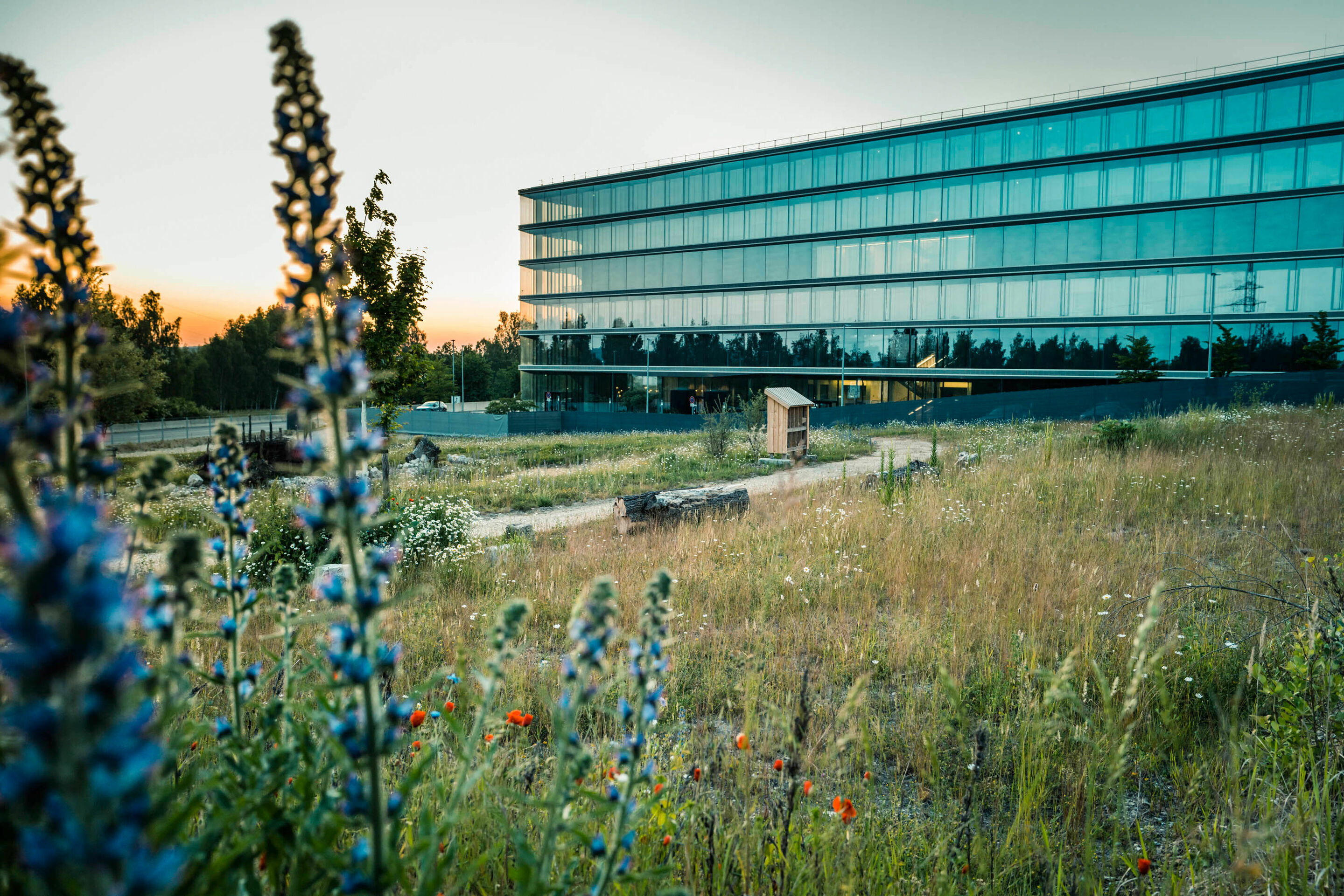 Artenvielfalt erhalten - Als Mitglied der Initiative „Biodiversity in Good Company“ engagiert sich Audi für den Schutz biologischer Vielfalt mit Projekten an allen Audi Standorten.
