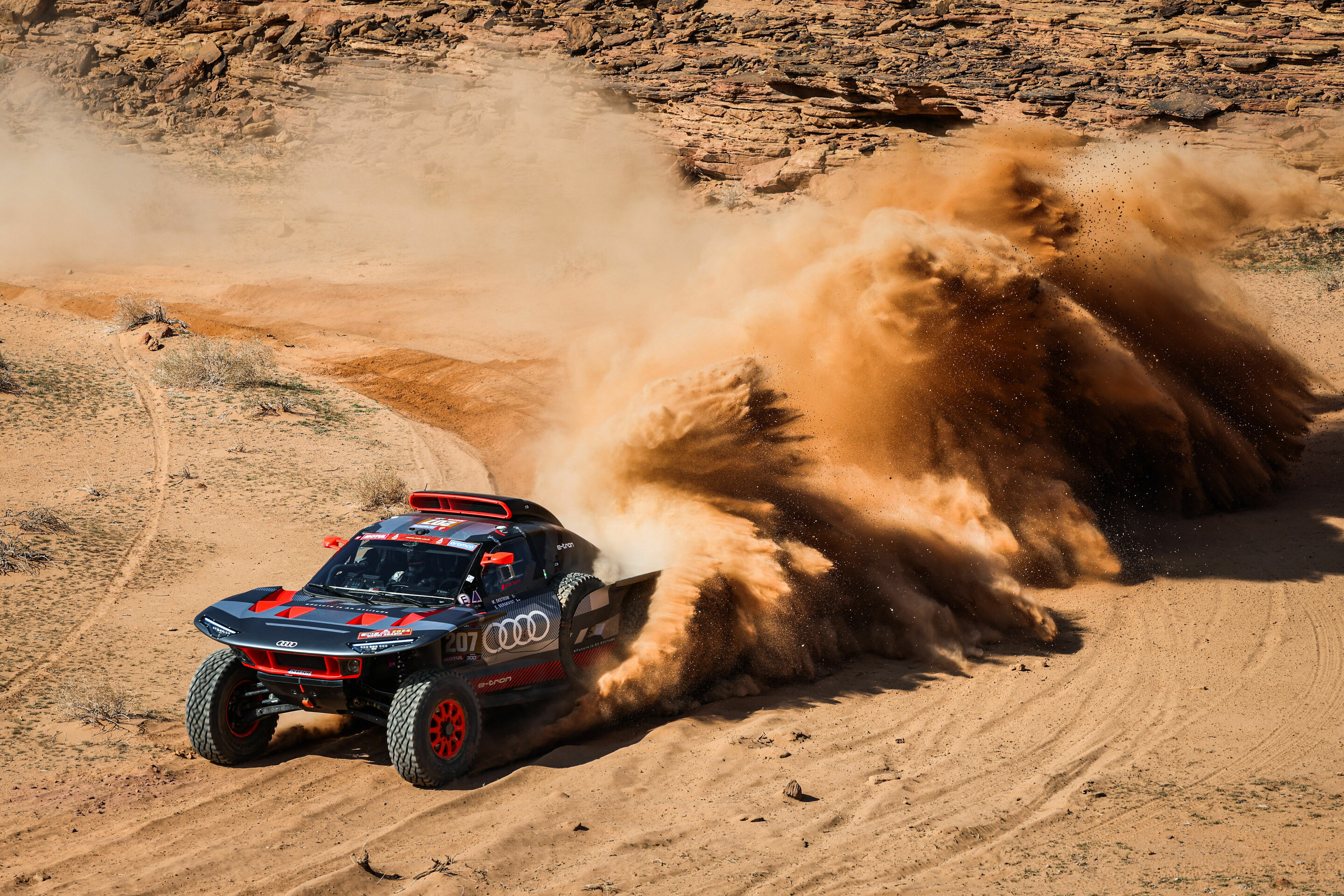 Rallye Dakar 2024 - Audi RS Q e-tron #207 (Team Audi Sport), Mattias Ekström/Emil Bergkvist