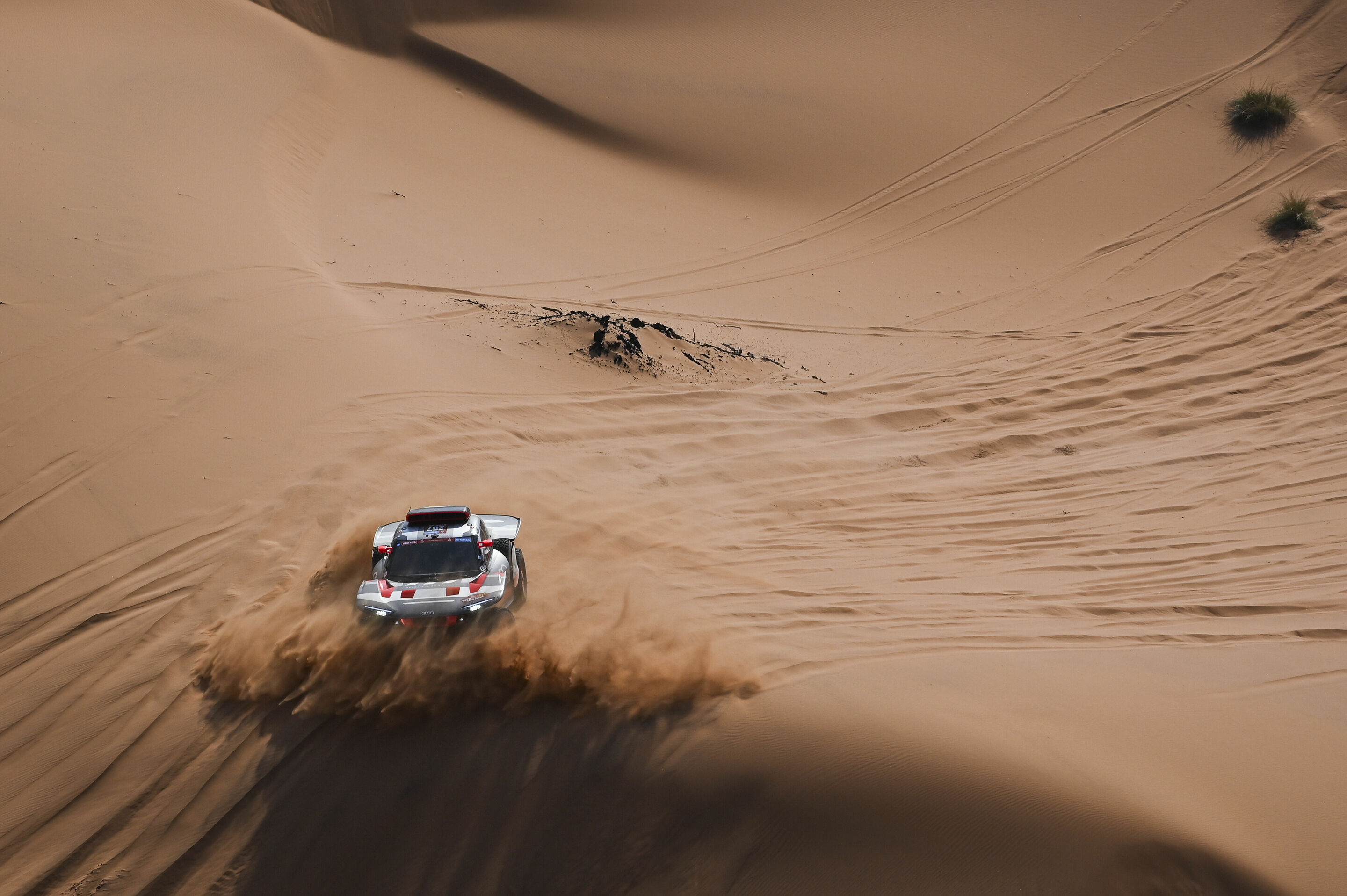 Rallye Dakar 2024 - Audi RS Q e-tron #207 (Team Audi Sport), Mattias Ekström/Emil Bergkvist