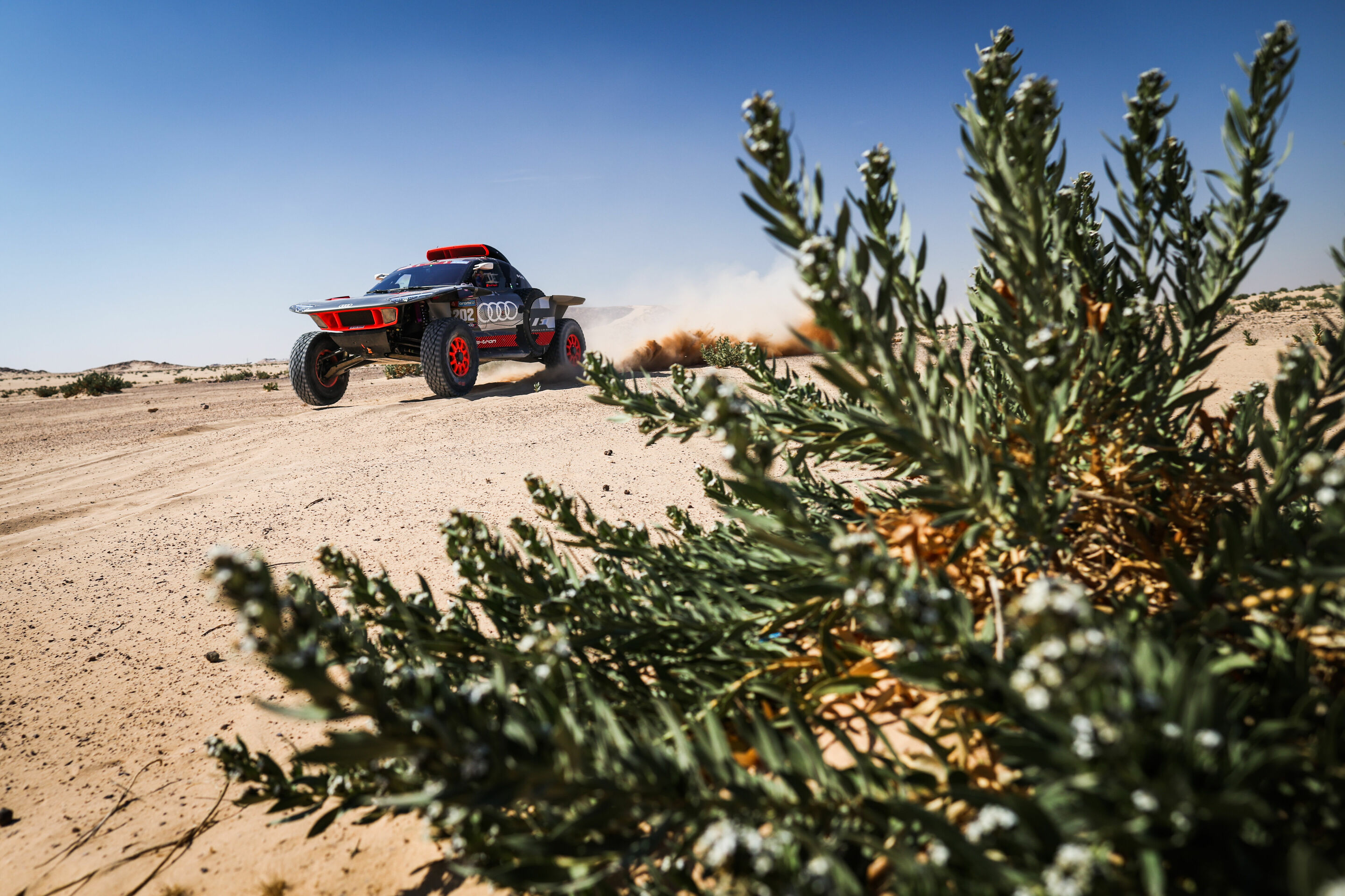 Rallye Dakar 2024 - Audi RS Q e-tron #202 (Team Audi Sport), Stéphane Peterhansel/Edouard Boulanger