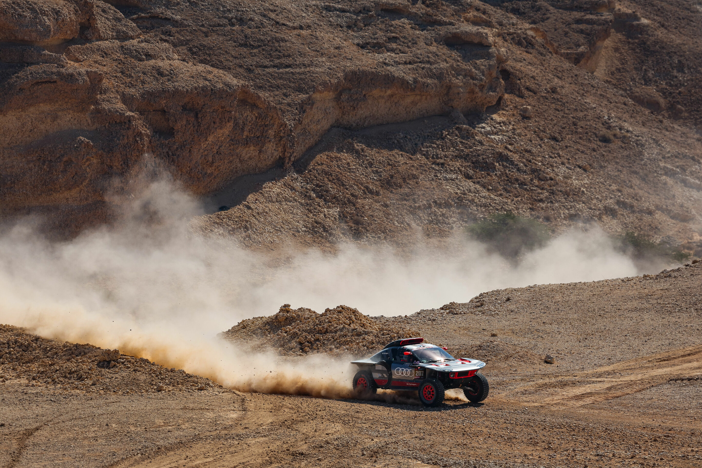 Rallye Dakar 2024 - Audi RS Q e-tron #207 (Team Audi Sport), Mattias Ekström/Emil Bergkvist