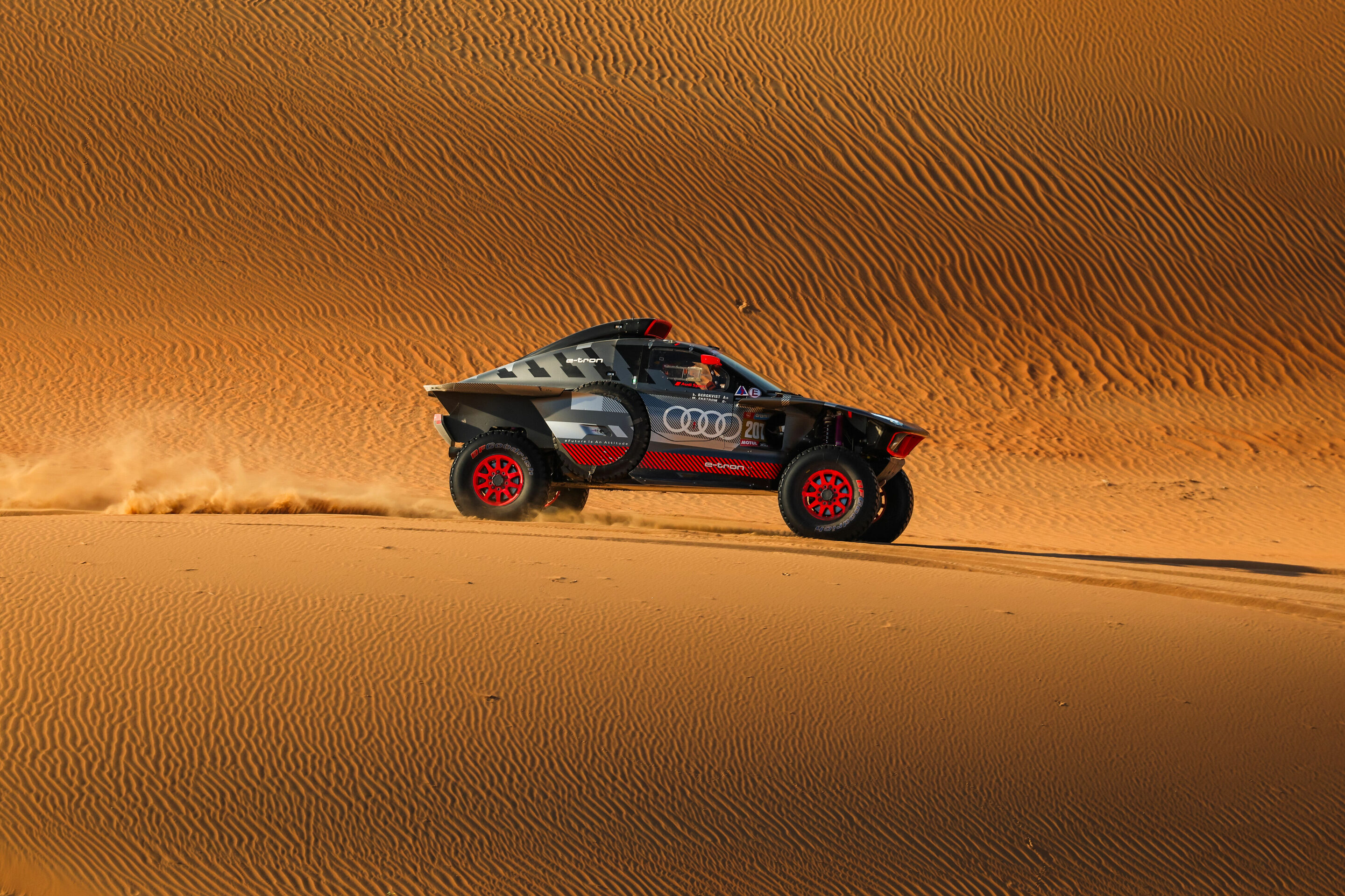 Rallye Dakar 2024 - Audi RS Q e-tron #207 (Team Audi Sport), Mattias Ekström/Emil Bergkvist