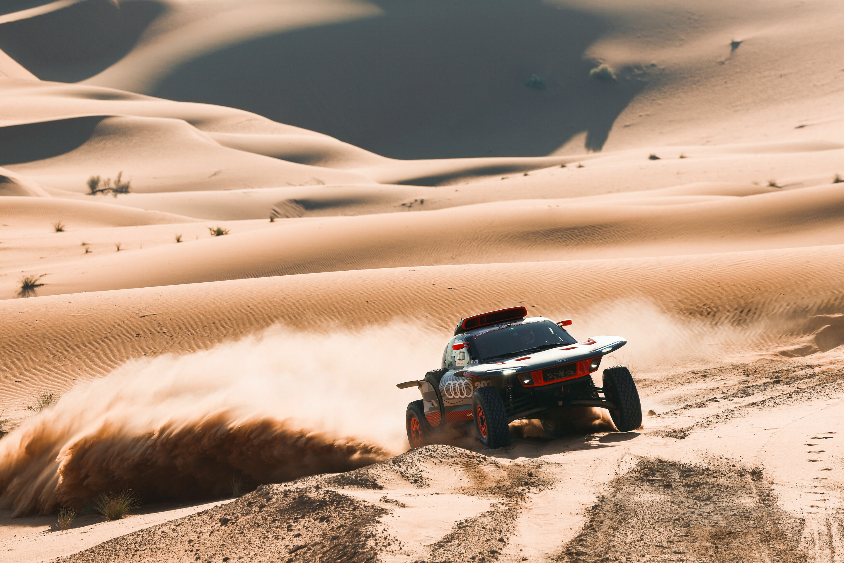 Rallye Dakar 2024 - Audi RS Q e-tron #207 (Team Audi Sport), Mattias Ekström/Emil Bergkvist