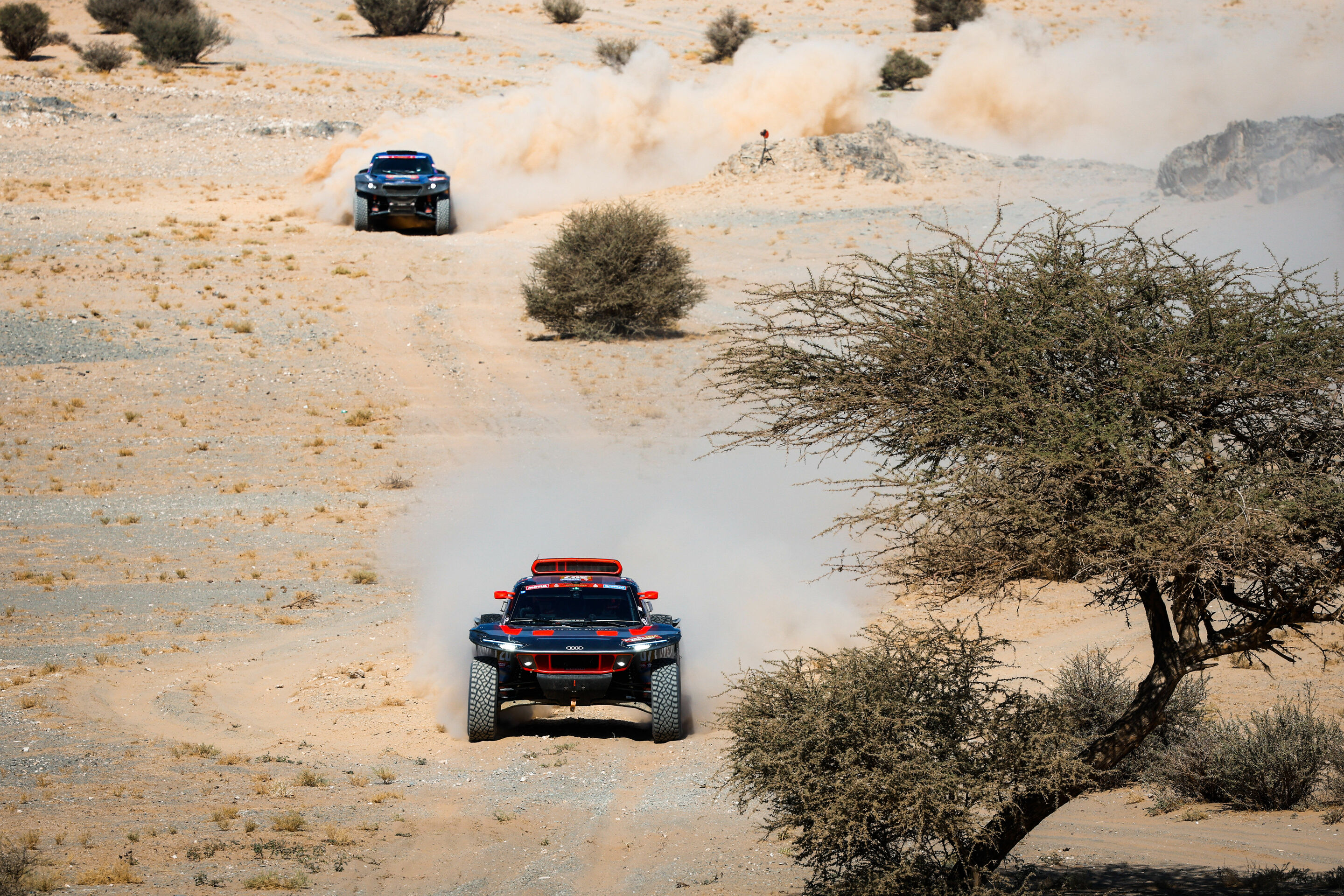 Rallye Dakar 2024 - Audi RS Q e-tron #207 (Team Audi Sport), Mattias Ekström/Emil Bergkvist