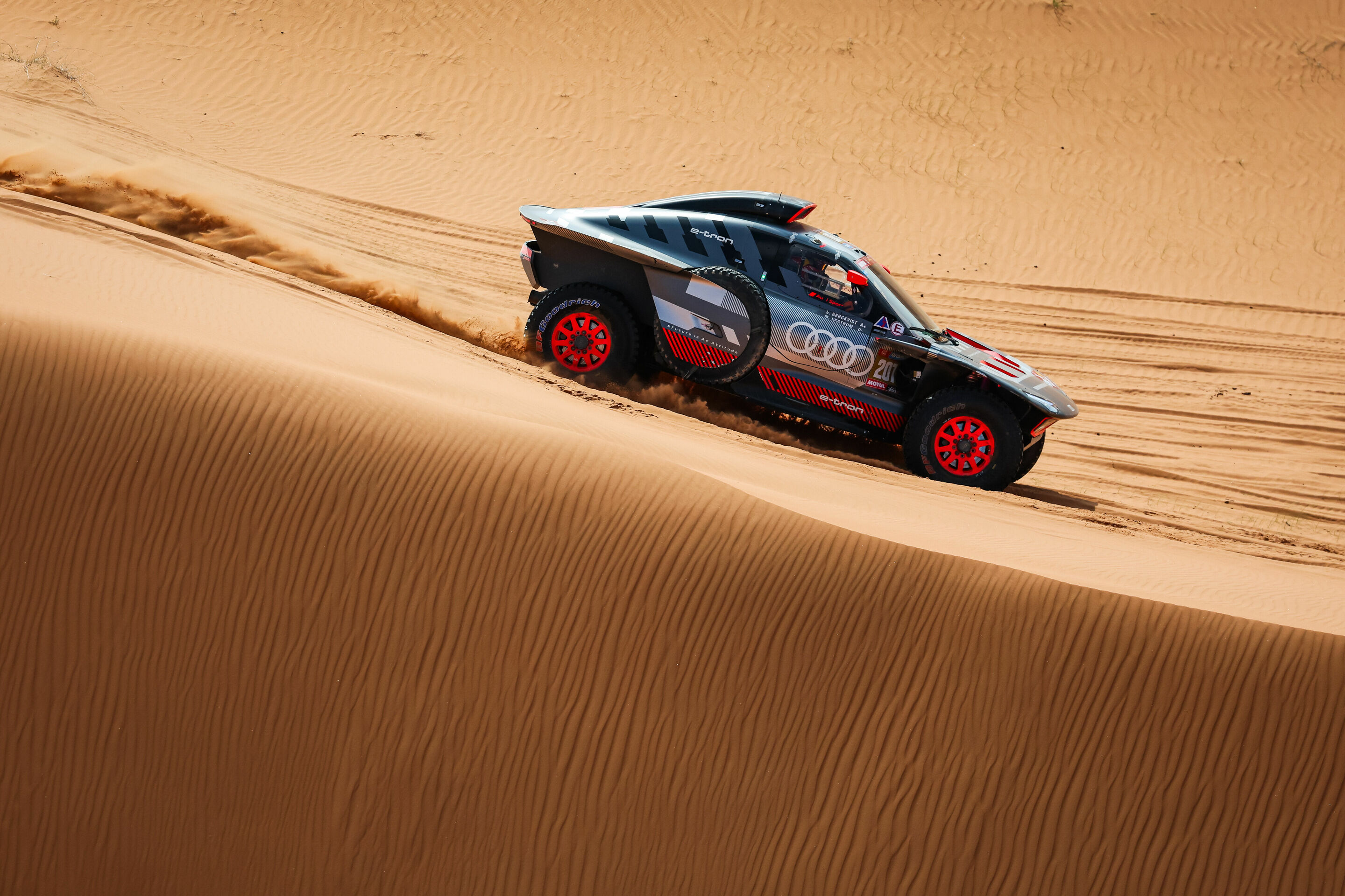 Rallye Dakar 2024 - Audi RS Q e-tron #207 (Team Audi Sport), Mattias Ekström/Emil Bergkvist