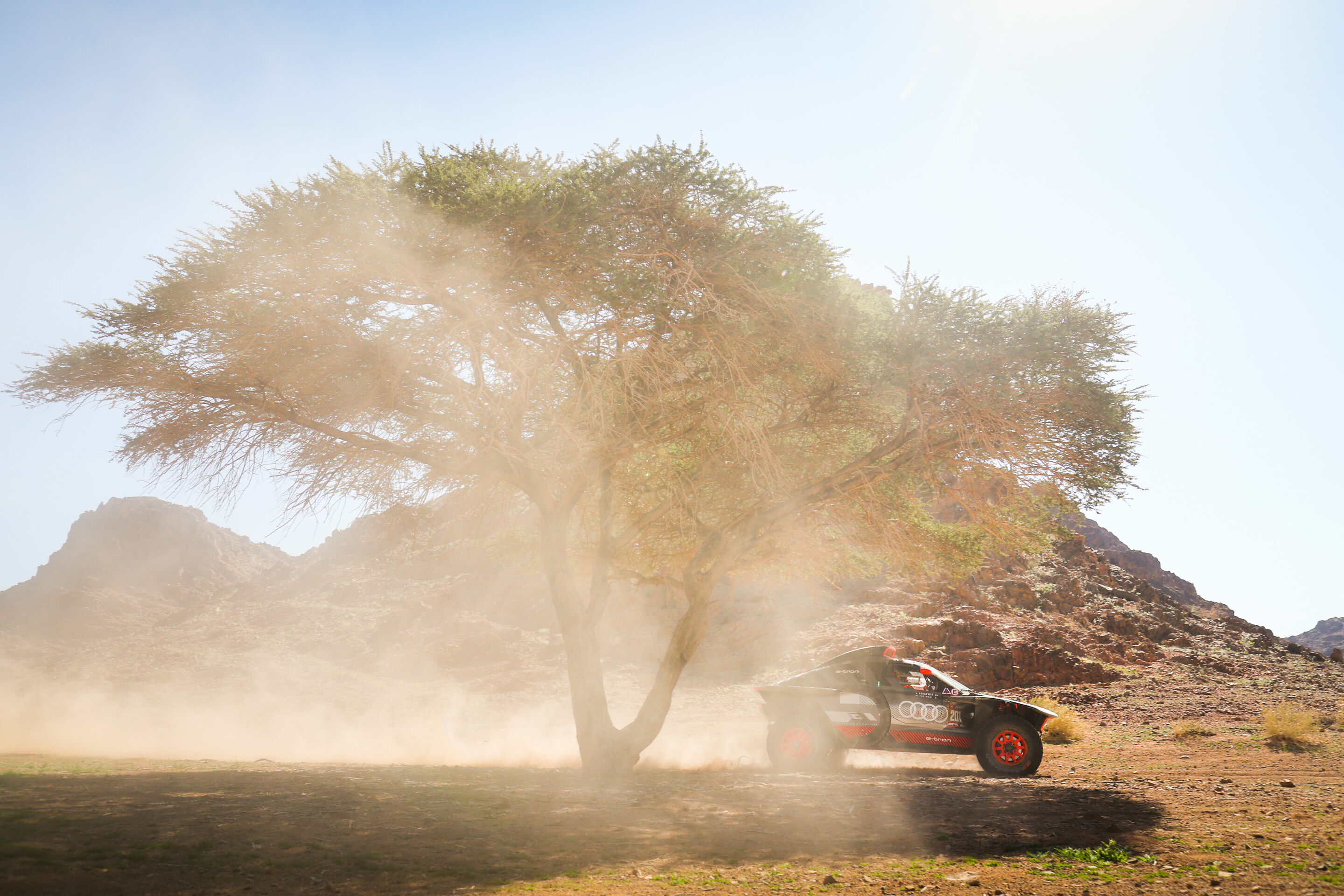Rallye Dakar 2024 - Audi RS Q e-tron #207 (Team Audi Sport), Mattias Ekström/Emil Bergkvist
