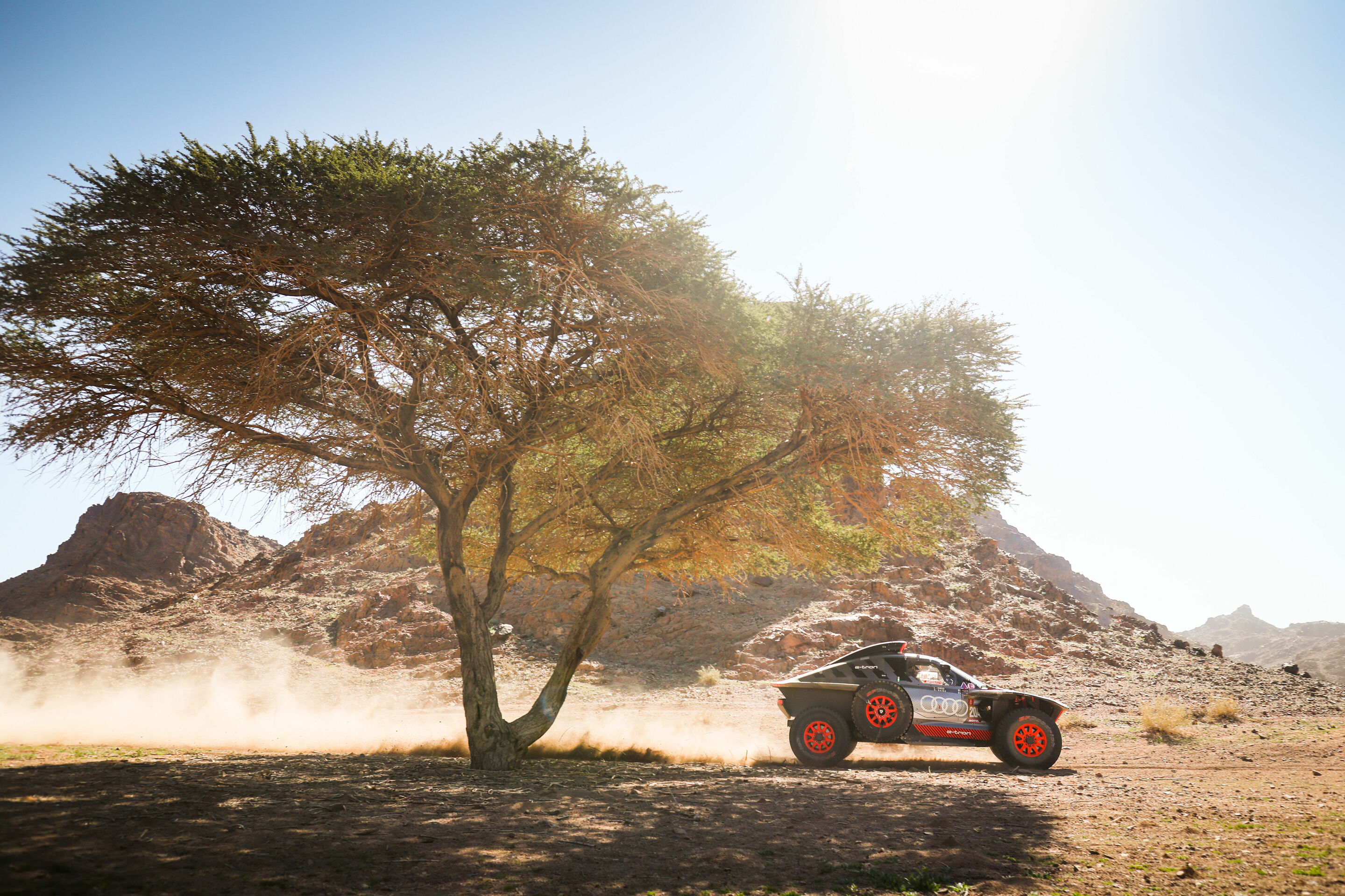 Rallye Dakar 2024 - Audi RS Q e-tron #204 (Team Audi Sport), Carlos Sainz/Lucas Cruz