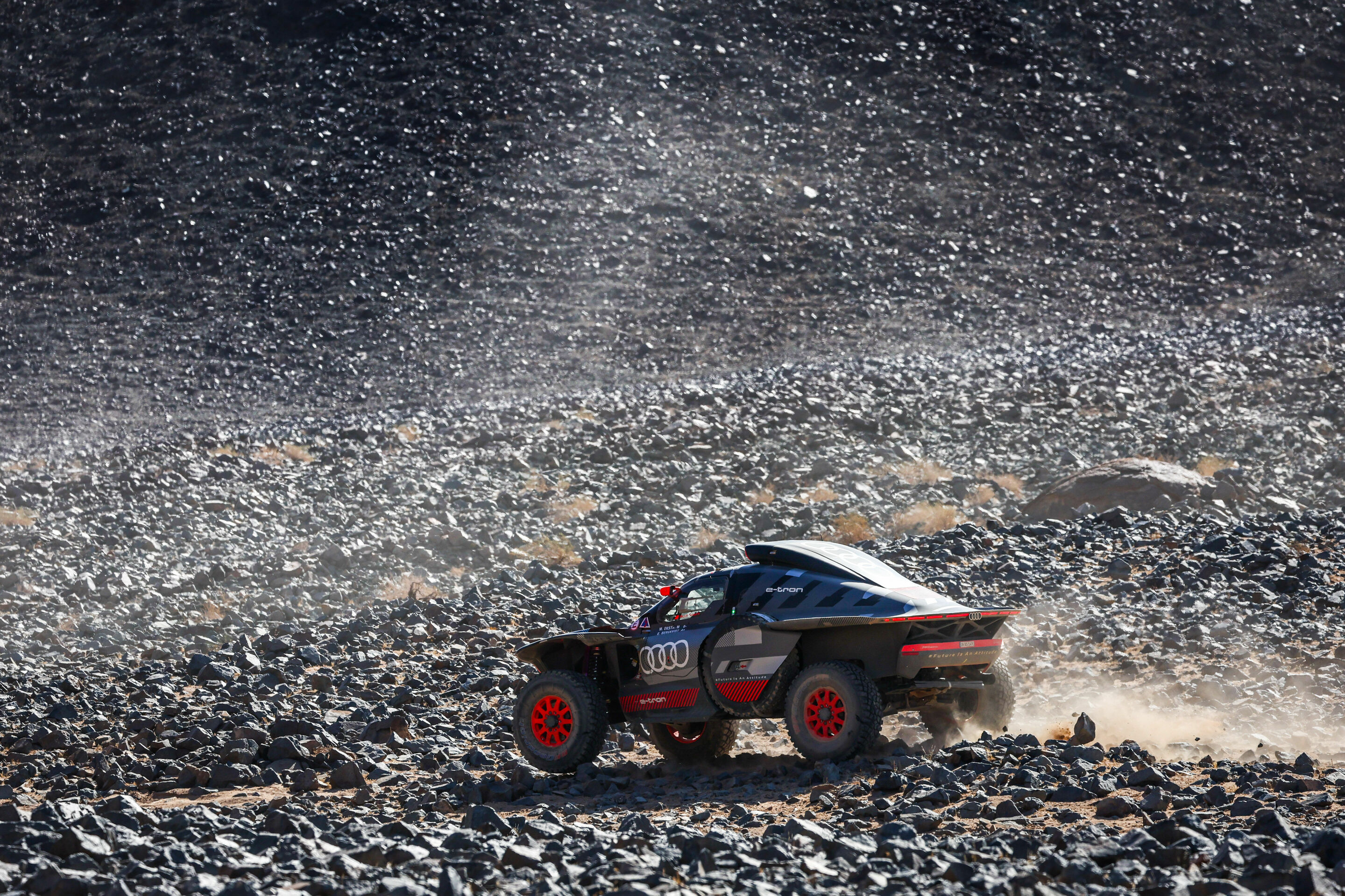 Dakar Rally 2024 - Audi RS Q e-tron #207 (Team Audi Sport), Mattias Ekström/Emil Bergkvist