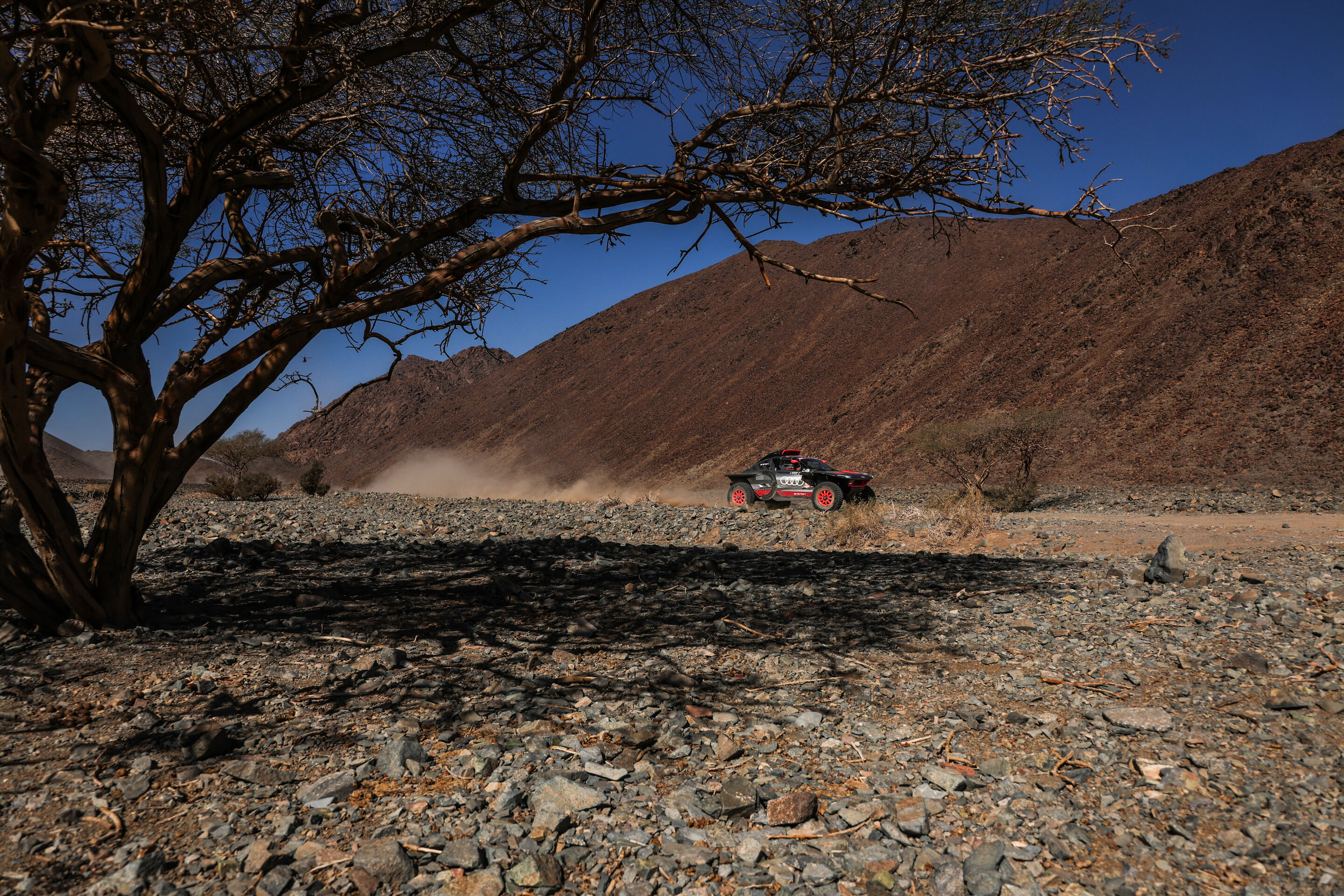 Rallye Dakar 2024 - Audi RS Q e-tron #207 (Team Audi Sport), Mattias Ekström/Emil Bergkvist