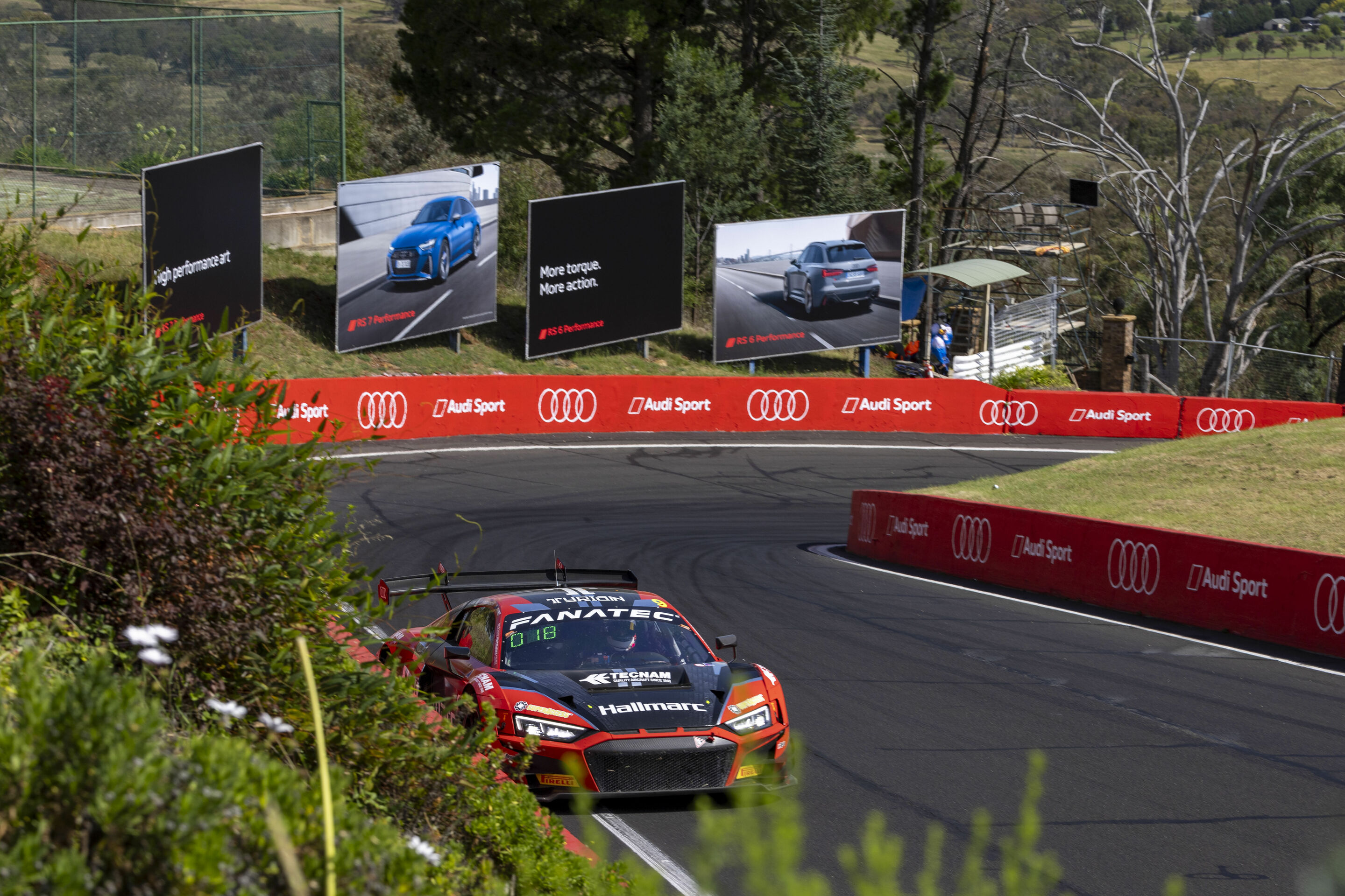 12h Bathurst 2024 - Audi R8 LMS #9 (Hallmarc Team MPC), Marc Cini/Dean Fiore/Lee Holdsworth