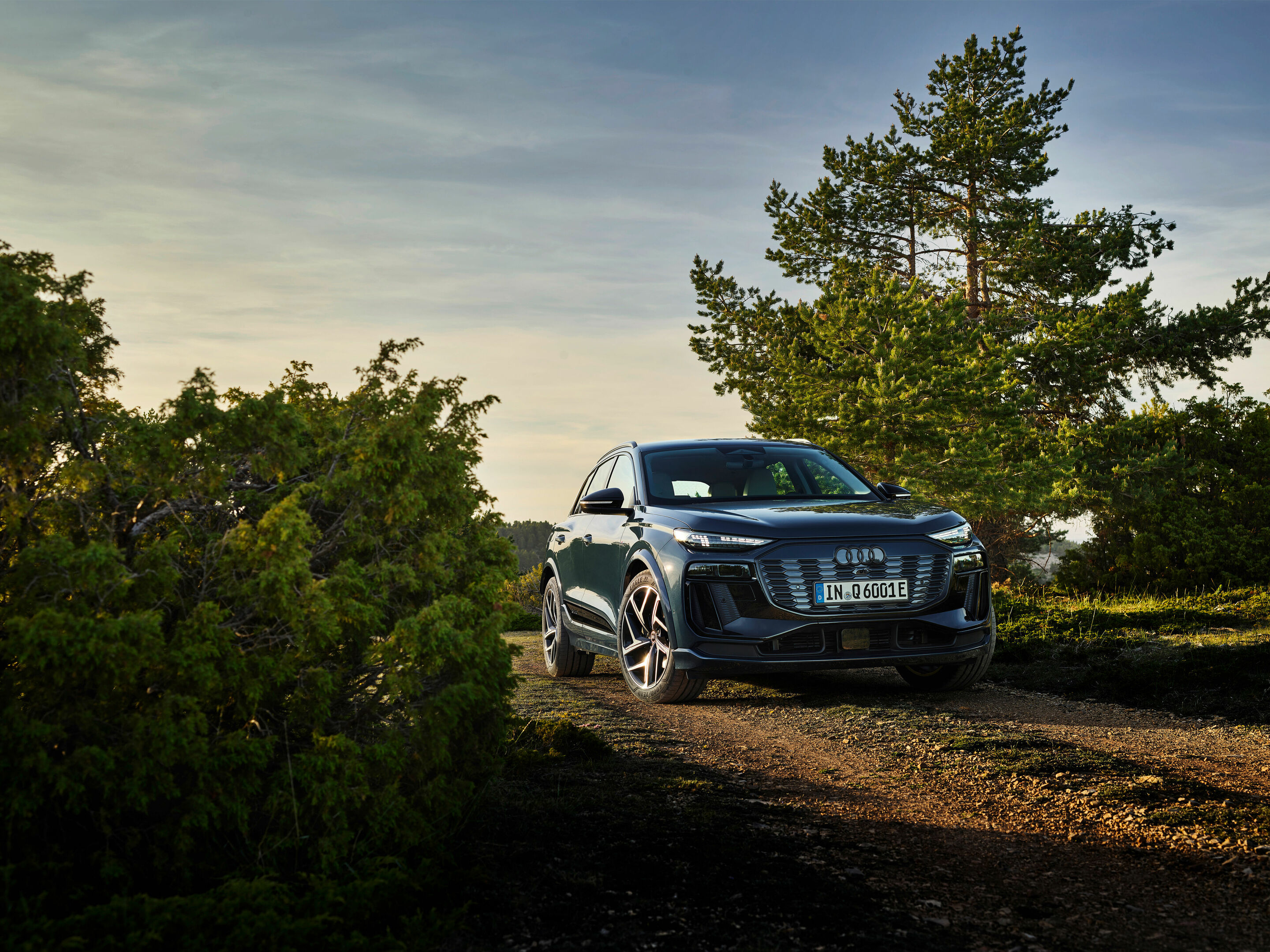 Audi Q6 e-tron quattro - Static photo, 
Colour: Plasma blue metallic