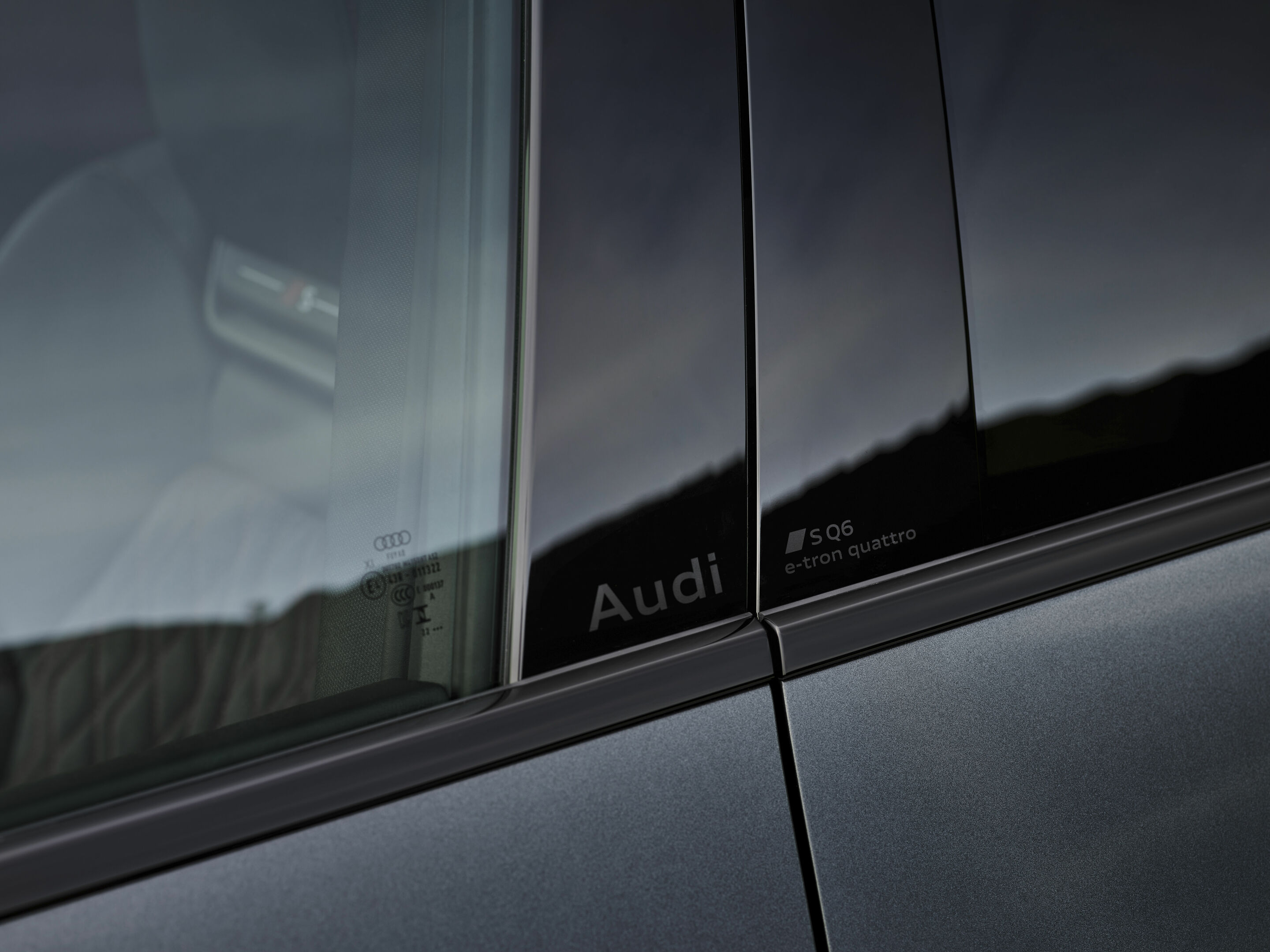 Audi SQ6 e-tron - Detail