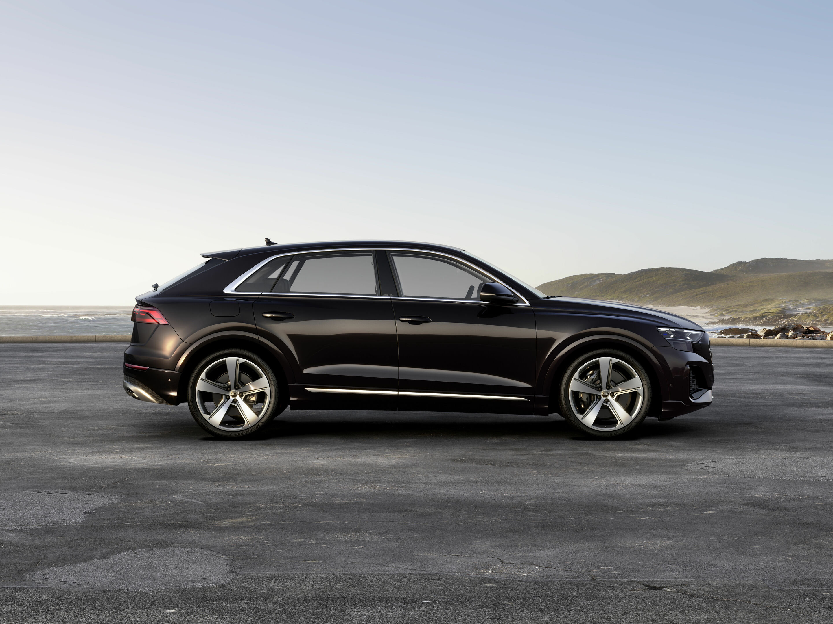 Audi Q8 TFSI e quattro - Standaufnahme, 
Farbe: Tamarindenbraun Metallic