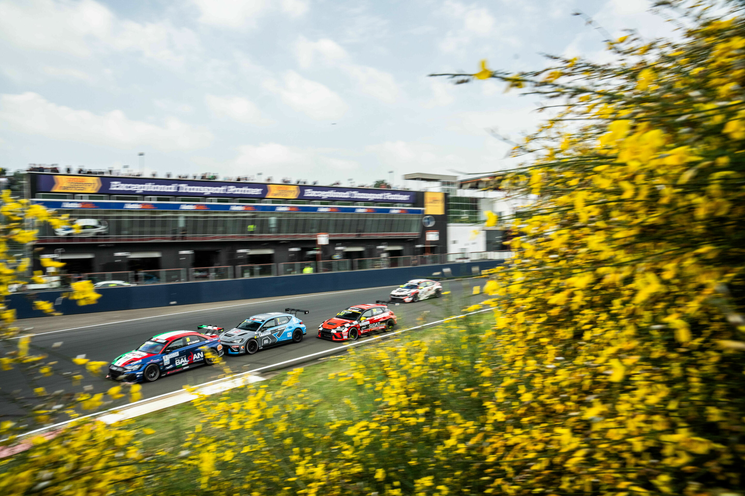 TCR Europe 2024 - Audi RS 3 LMS #8 (Baldan Group by Comtoyou), Nicola Baldan