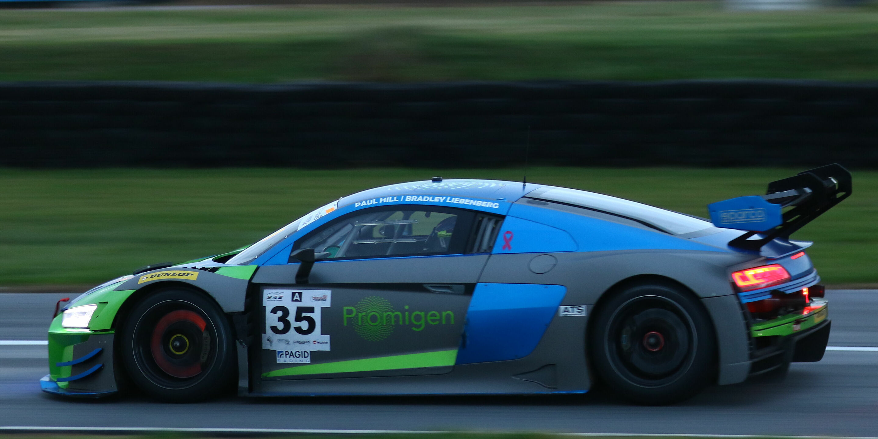 South African Endurance Championship 2024 - Audi R8 LMS #35 (Promigen), Paul Hill/Bradley Liebenberg