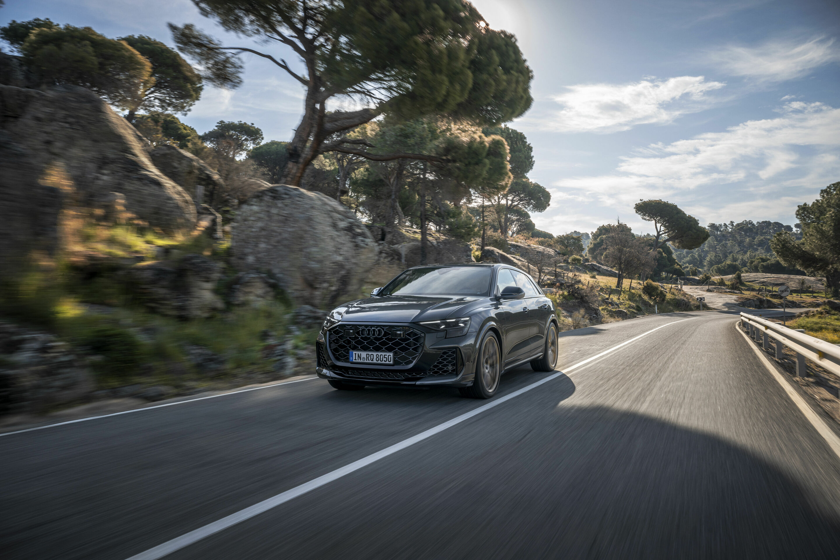 Audi RS Q8 - Fahraufnahme,
Farbe: Daytonagrau Perleffekt