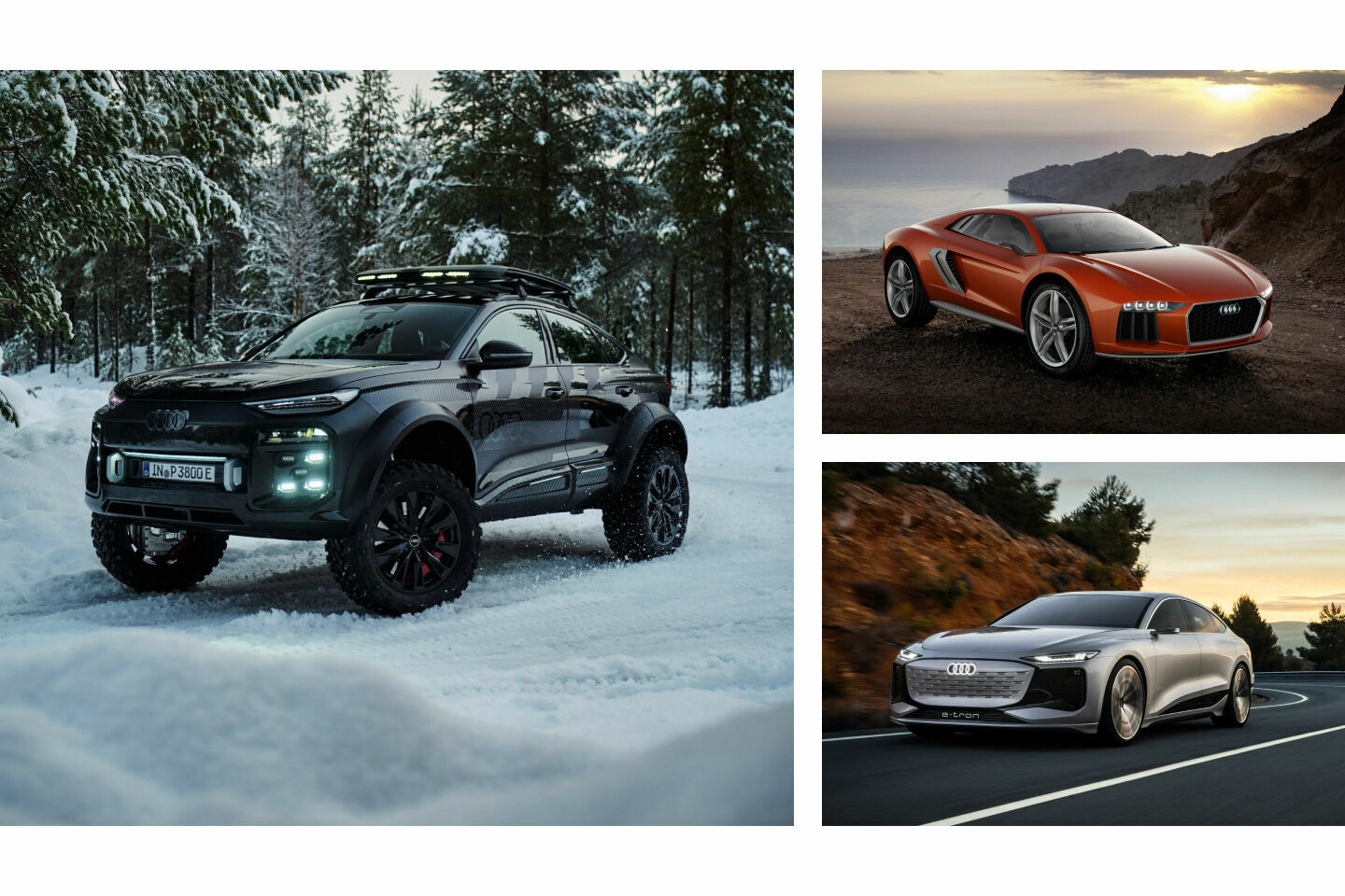 Audi Q6 e-tron offroad concept (2025), Audi nanuk quattro concept (2013), Audi A6 e-tron concept (2021) - Audi activesphere concept (2023), Steppenwolf (2000), Audi e-tron Spyder (2010)