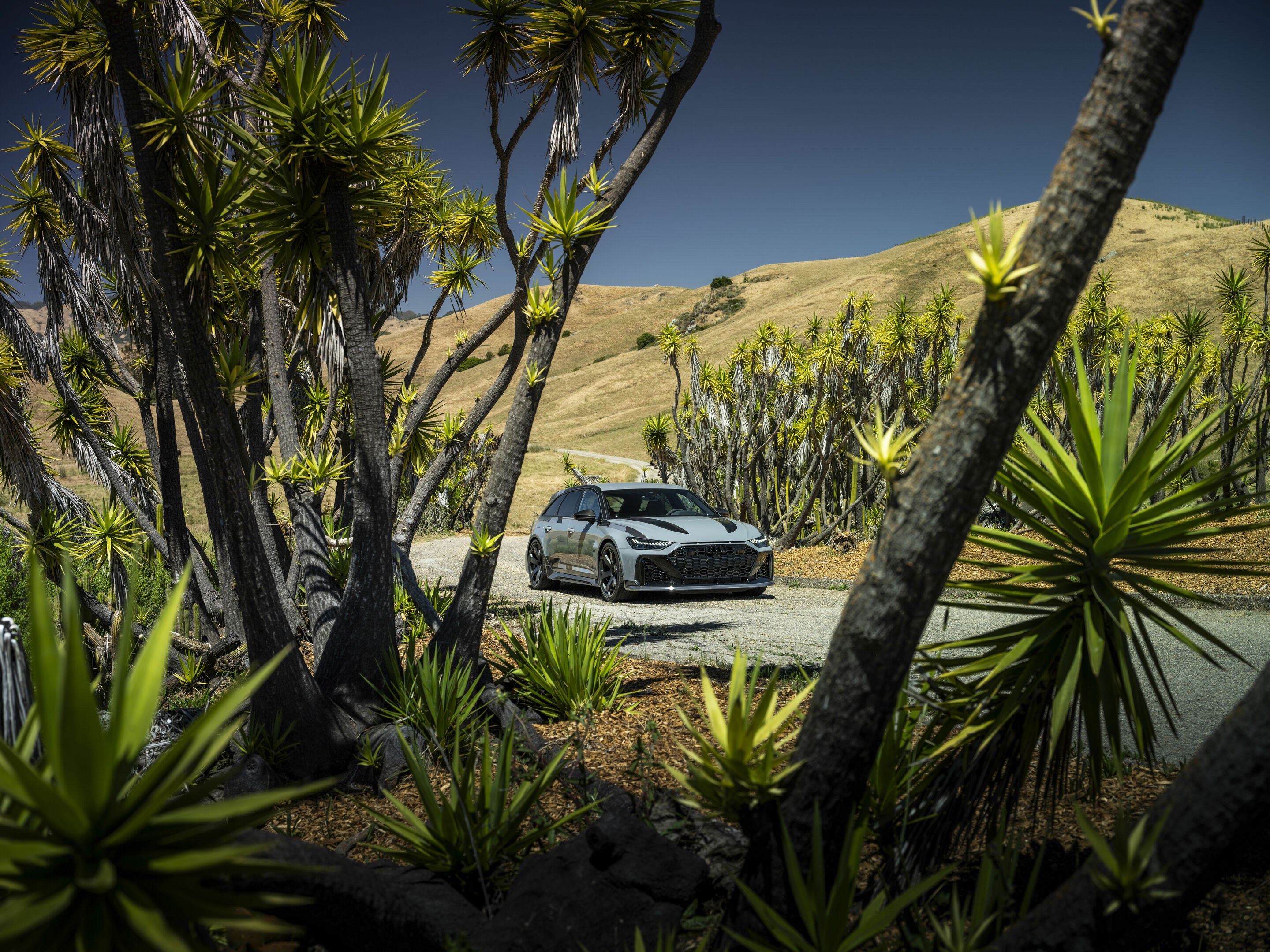 Audi RS 6 Avant GT in Kalifornien - Standaufnahme,
Farbe: Nardograu