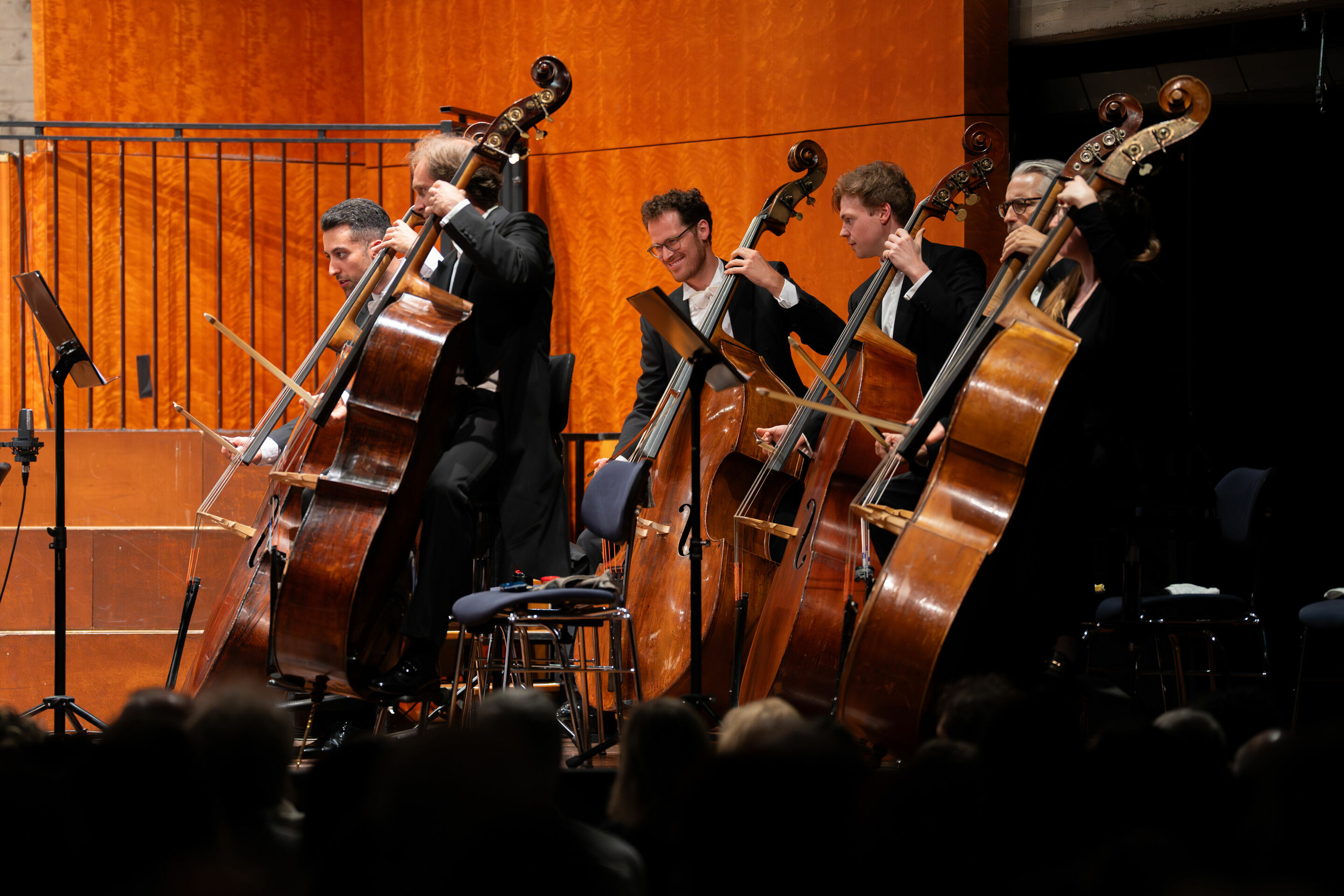 Audi Summer Concerts 2024 - Bavarian Radio Symphony Orchestra: the double bass players
