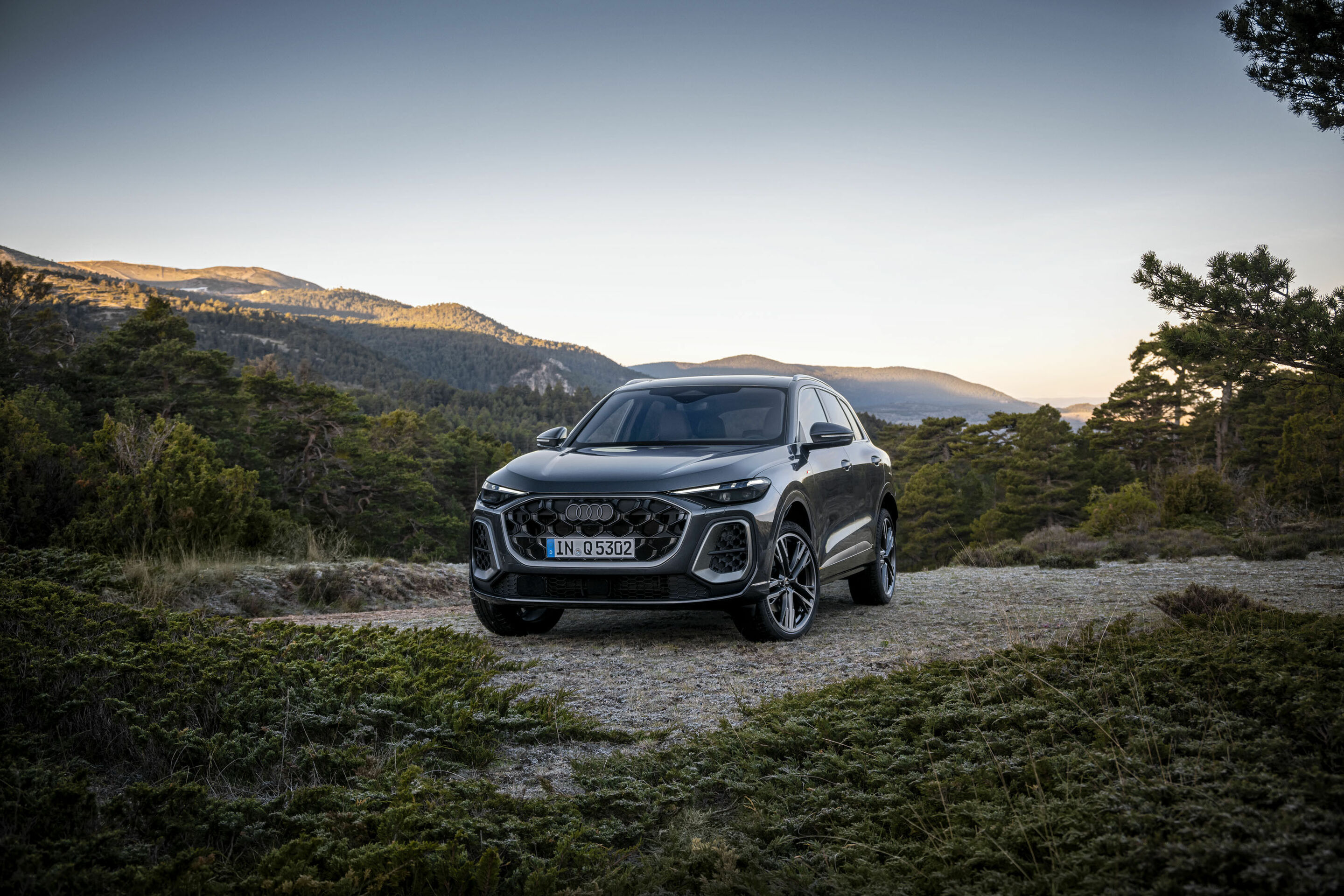 Audi Q5 SUV - Standaufnahme,
Farbe: Tamboragrau Metallic