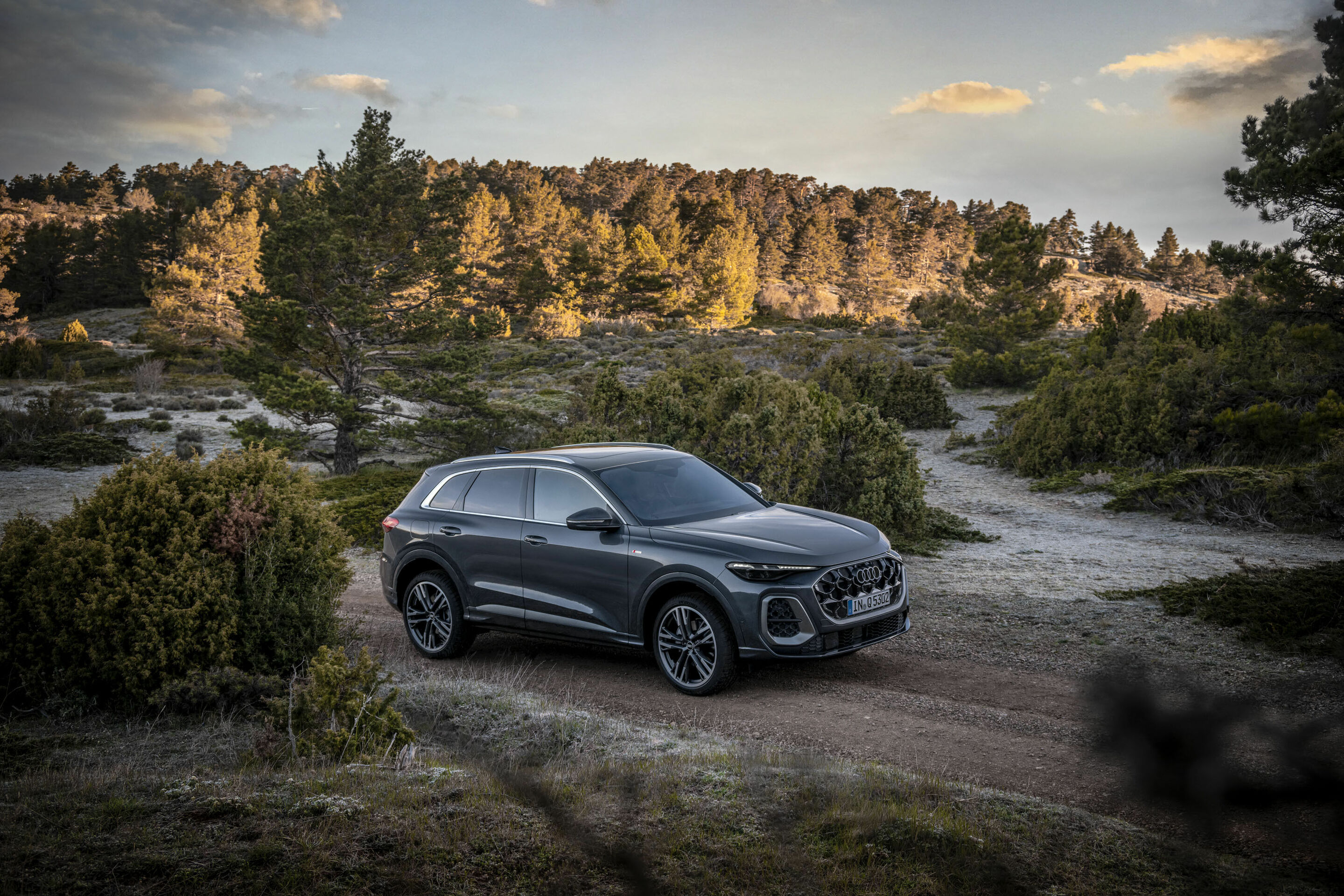 Audi Q5 SUV - Standaufnahme,
Farbe: Tamboragrau Metallic